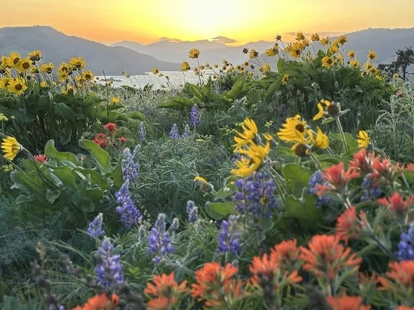 hikes hood river - memaloose hills