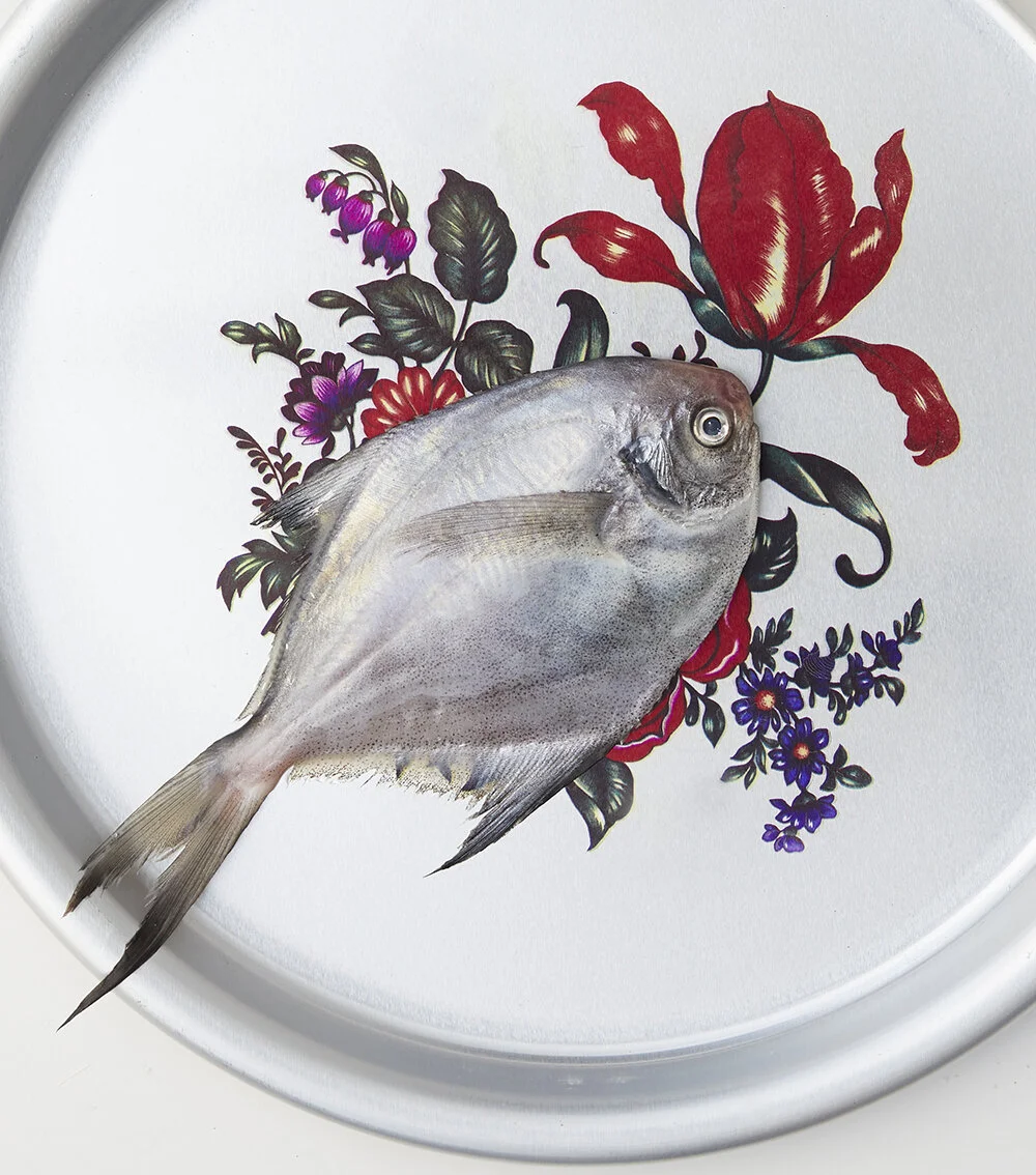 20200217_fish_test2174final(small2).jpg