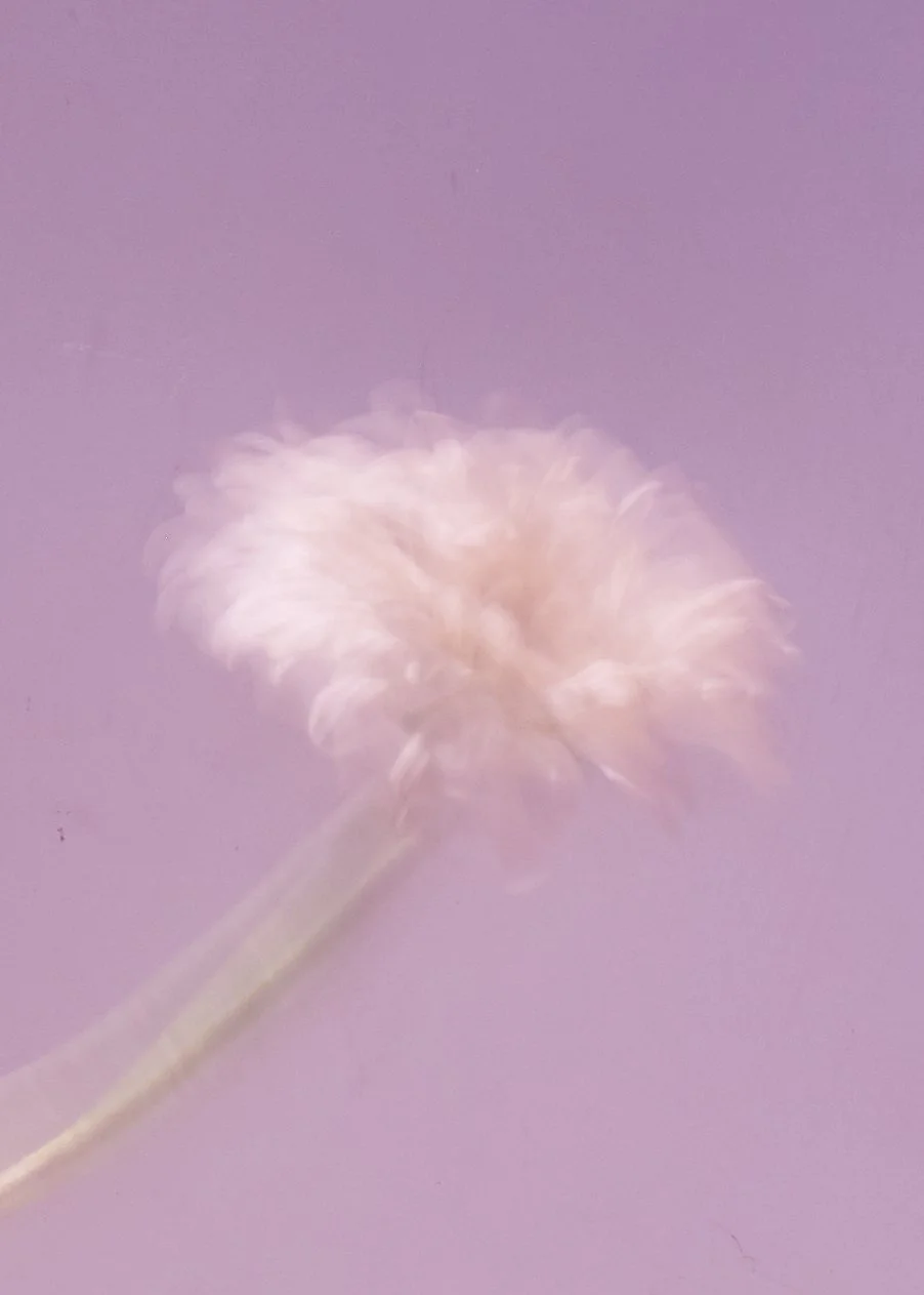 test30387_final copy(web).jpg