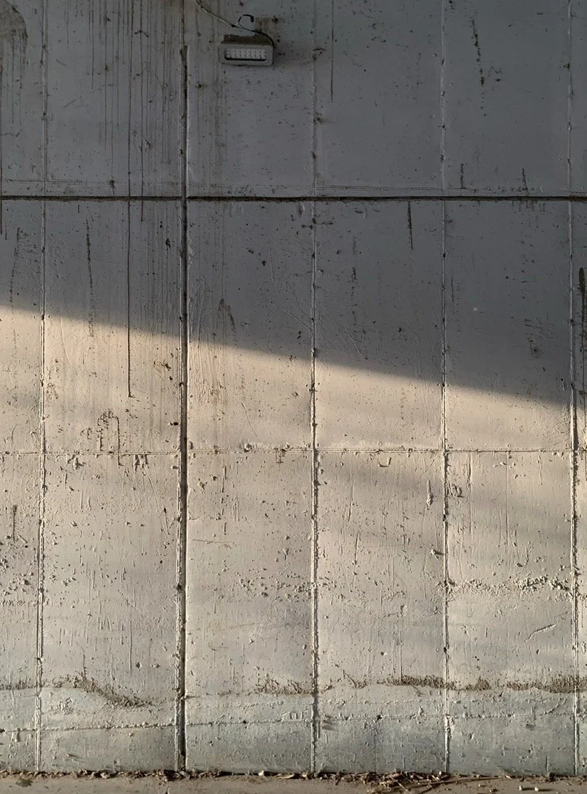 IMG_9568.jpeg