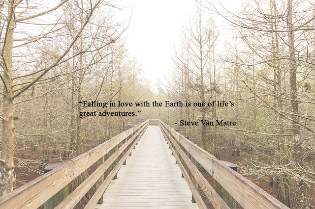 Falling in love with the Earth.jpg