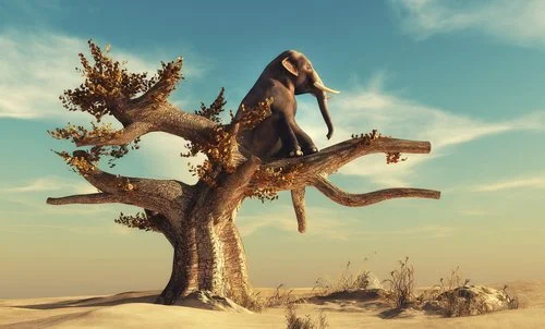 Standing up - Just Do It