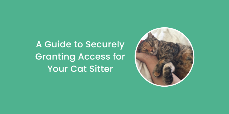 Unlocking Convenience for UK Cat Owners: A Guide to Securely Granting Access for Your Cat Sitter