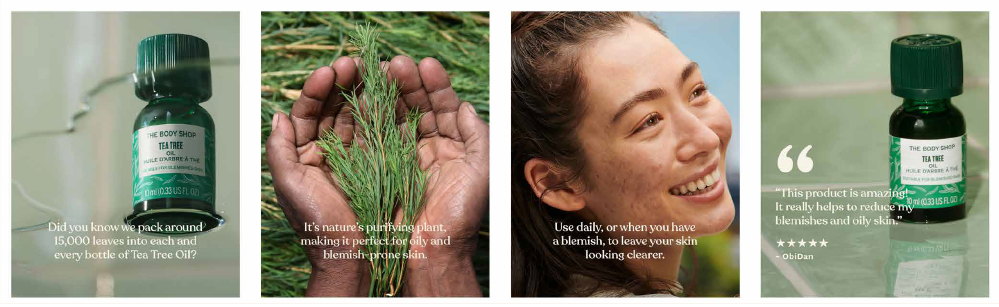 TEA_TREE_Digi-35.png