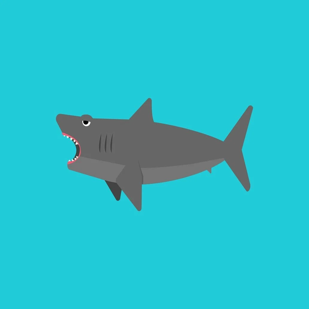 Testing out some characters for a fun new project. Finn didn&rsquo;t make the cut but thought he had some charm. #illustration #vectorart #graphicdesign #shark #designer #adobe