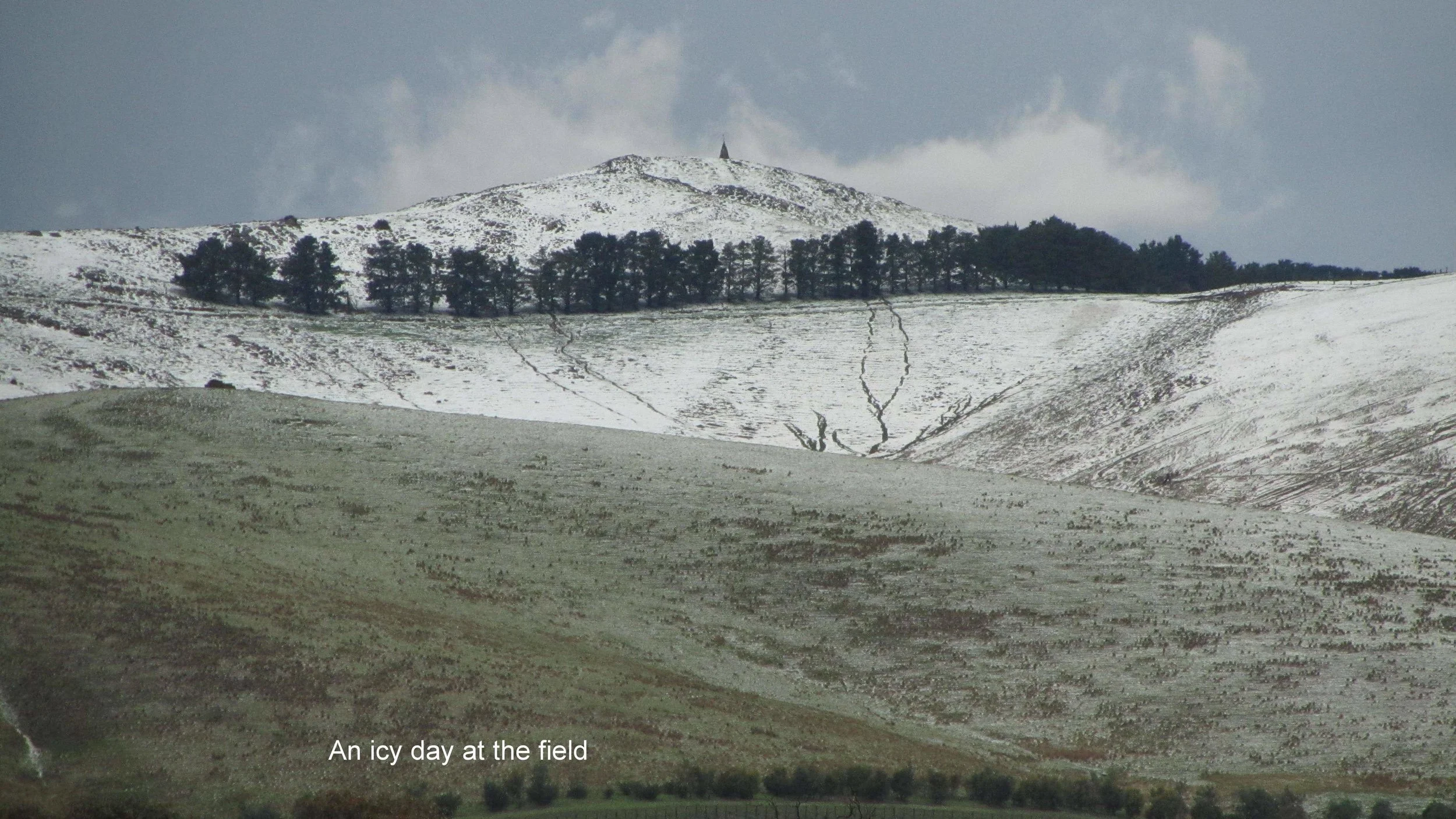Model Club Hail Storm July 2012-033.jpg