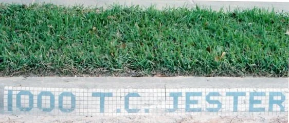 Traces of Timbergrove