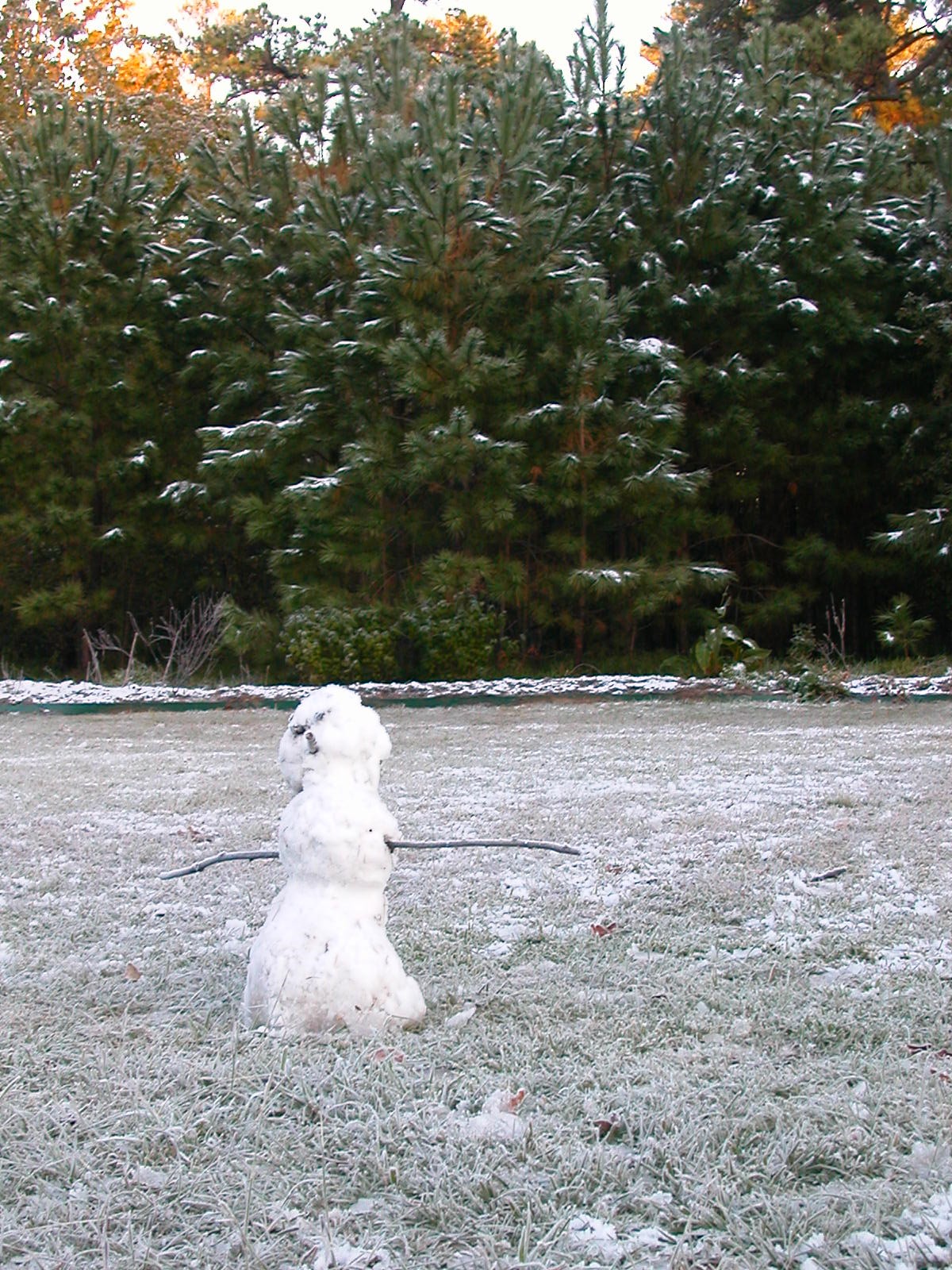 Update on West 11th Street Park