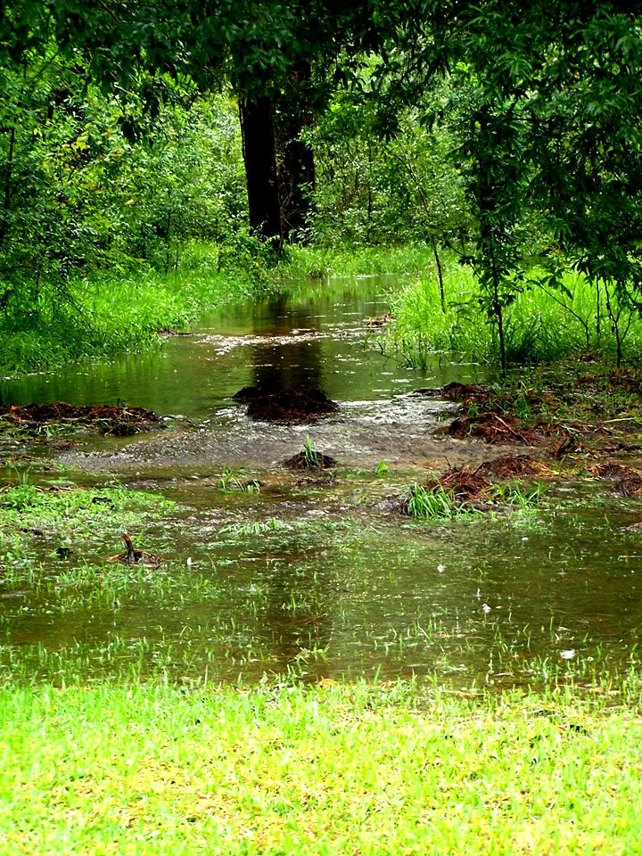 Update on West 11th Street Park