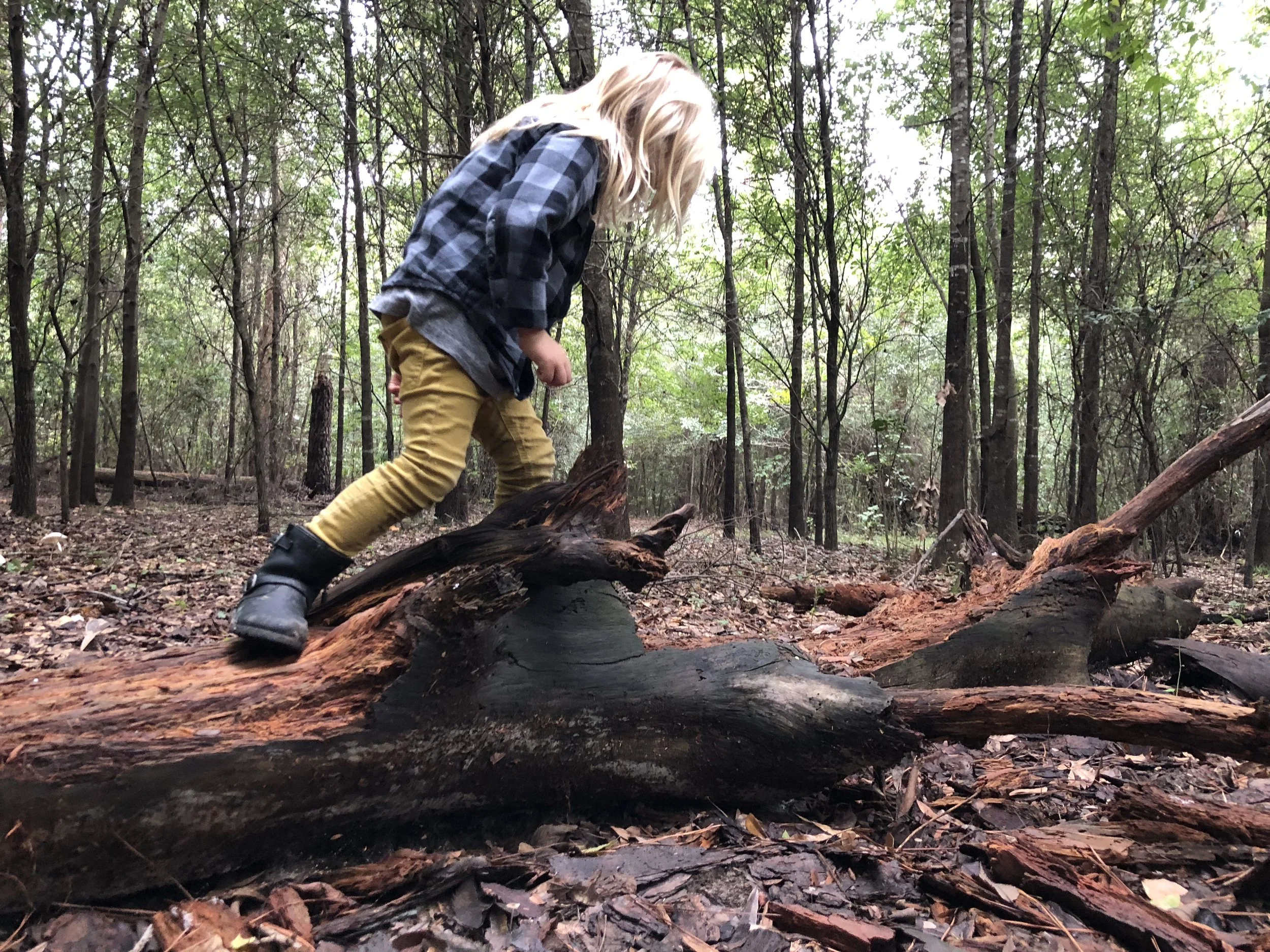 An Update from West 11th Street Park  