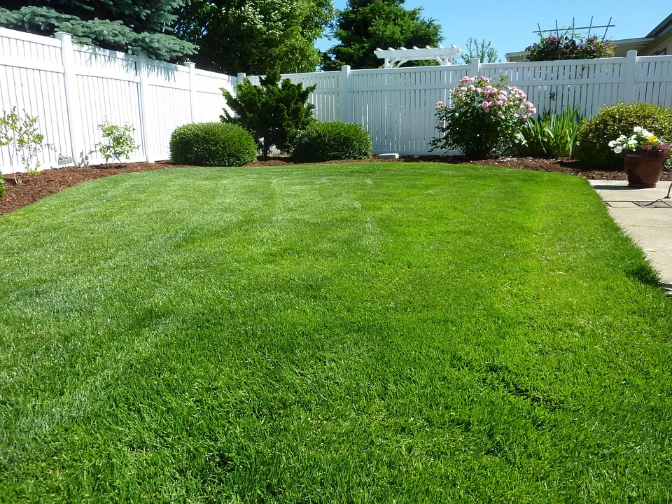 yard-.jpg