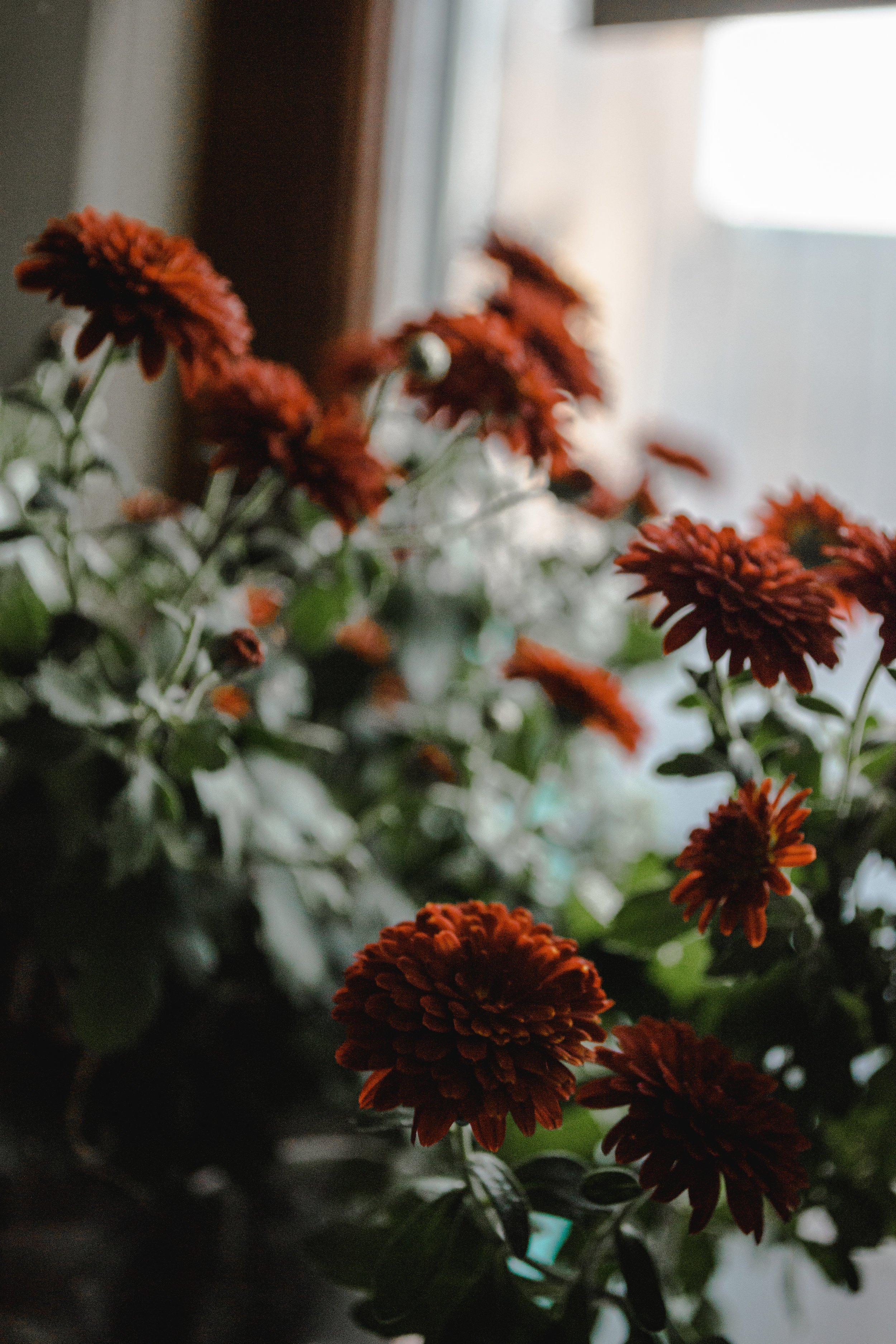 Yard of the Month - September & October