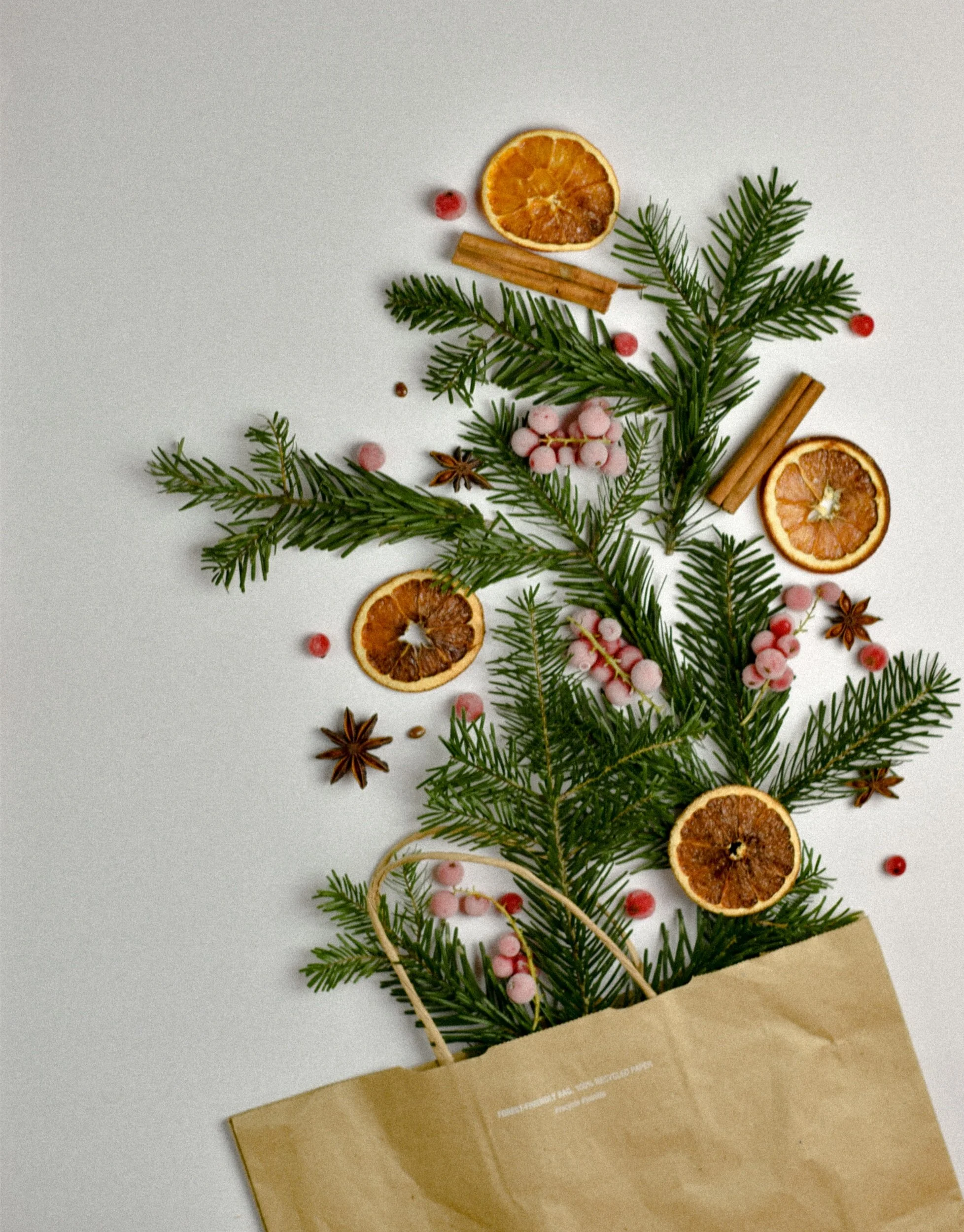 Holiday Lights Contest & YOTM