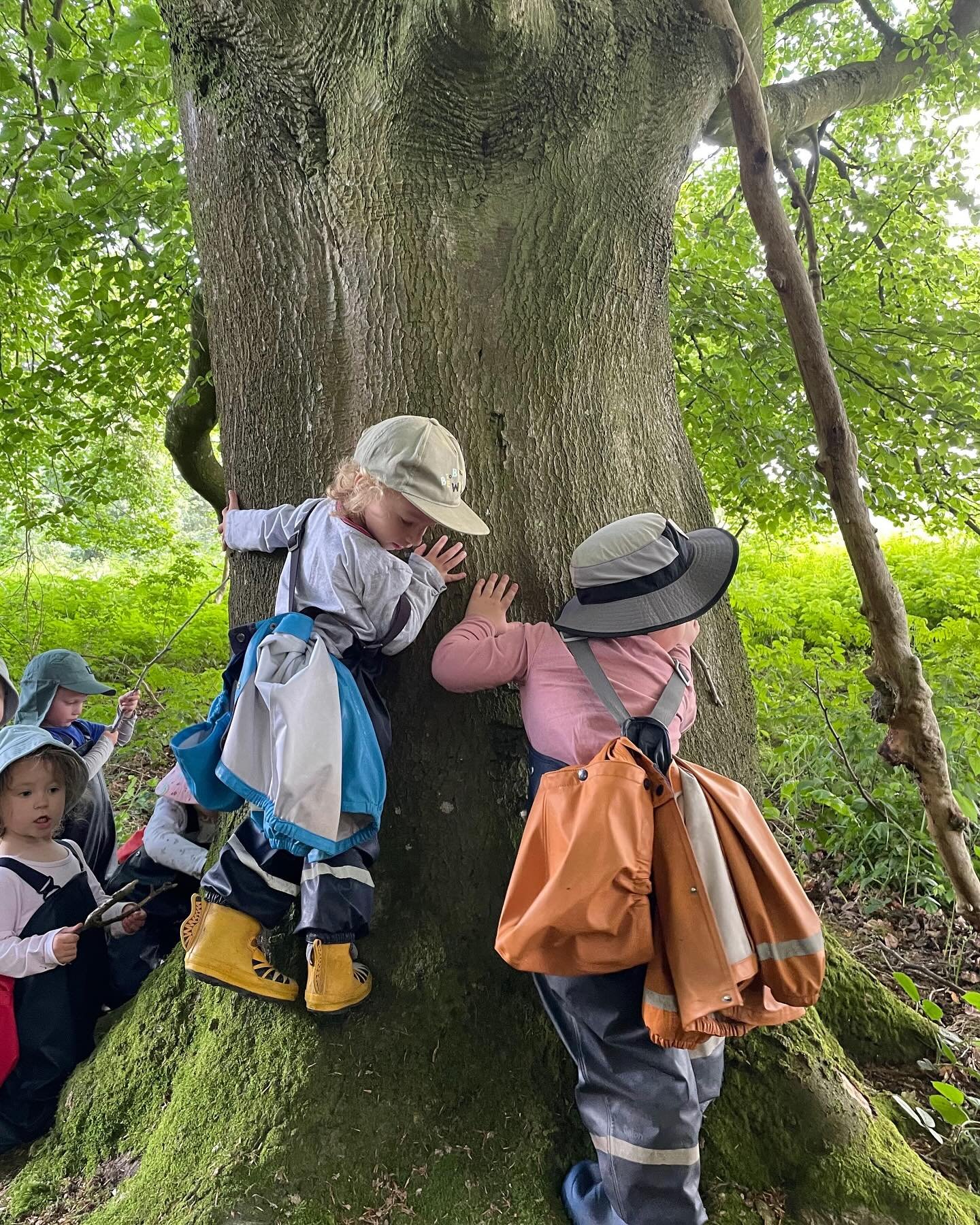 To all of our past grubs getting ready to return to school or start school next week. Enjoy discovery, investigation, play and time with friends. We are very proud to have been part of your story 🌳🐛 #earlyyearssetting #earlyyearseducation #natureed