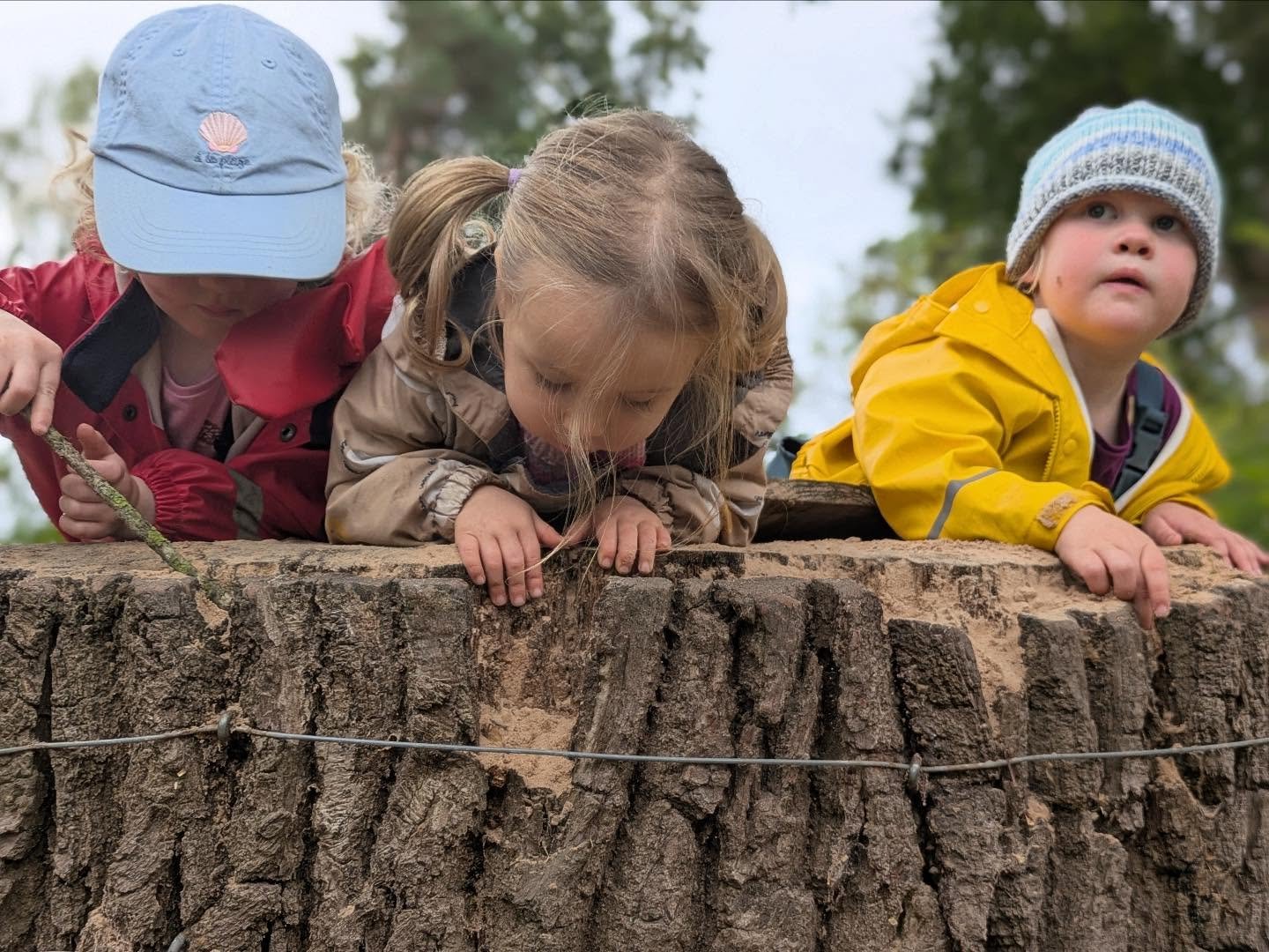 🍁🌿 A new year begins!🌿🍁

We&rsquo;ve loved welcoming new children and seeing familiar faces return after the summer, full of stories and smiles. ✨

We&rsquo;re making new friends and already soaking up the magic of autumn together &mdash; what a 