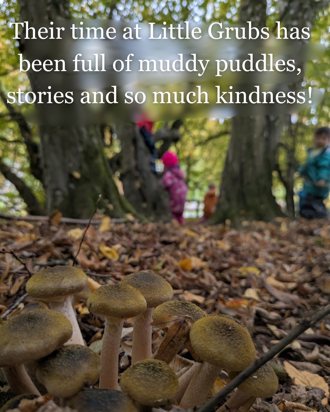 🐛 What our families say about Little Grubs Kindergarten 🐛

It's important to us to nurture and preserve the simple joys &mdash; muddy puddles, stories, and the kindness that grows here every day. 🦋

#LittleGrubsKindergarten
#NatureInspiredLearning