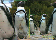 ‘Spot the Penguin’ - soundscape played at the 2008 Royal Society Summer Exhibition.