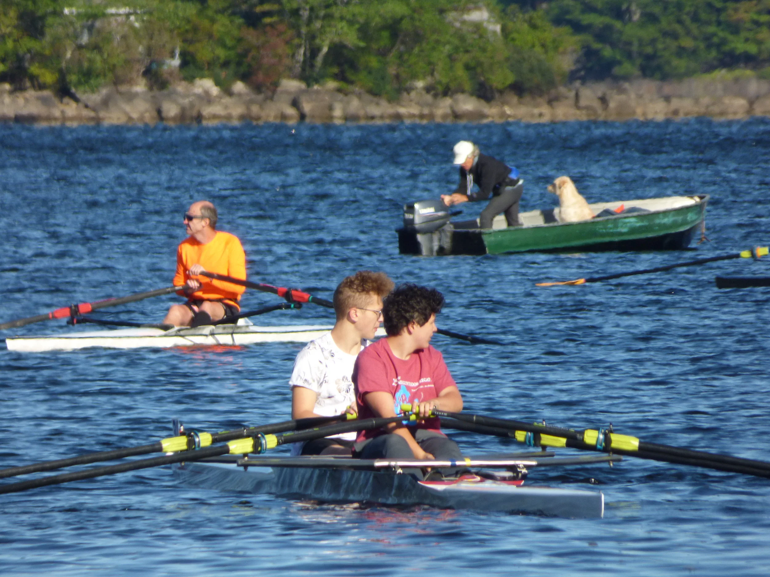 P1070573.jpg