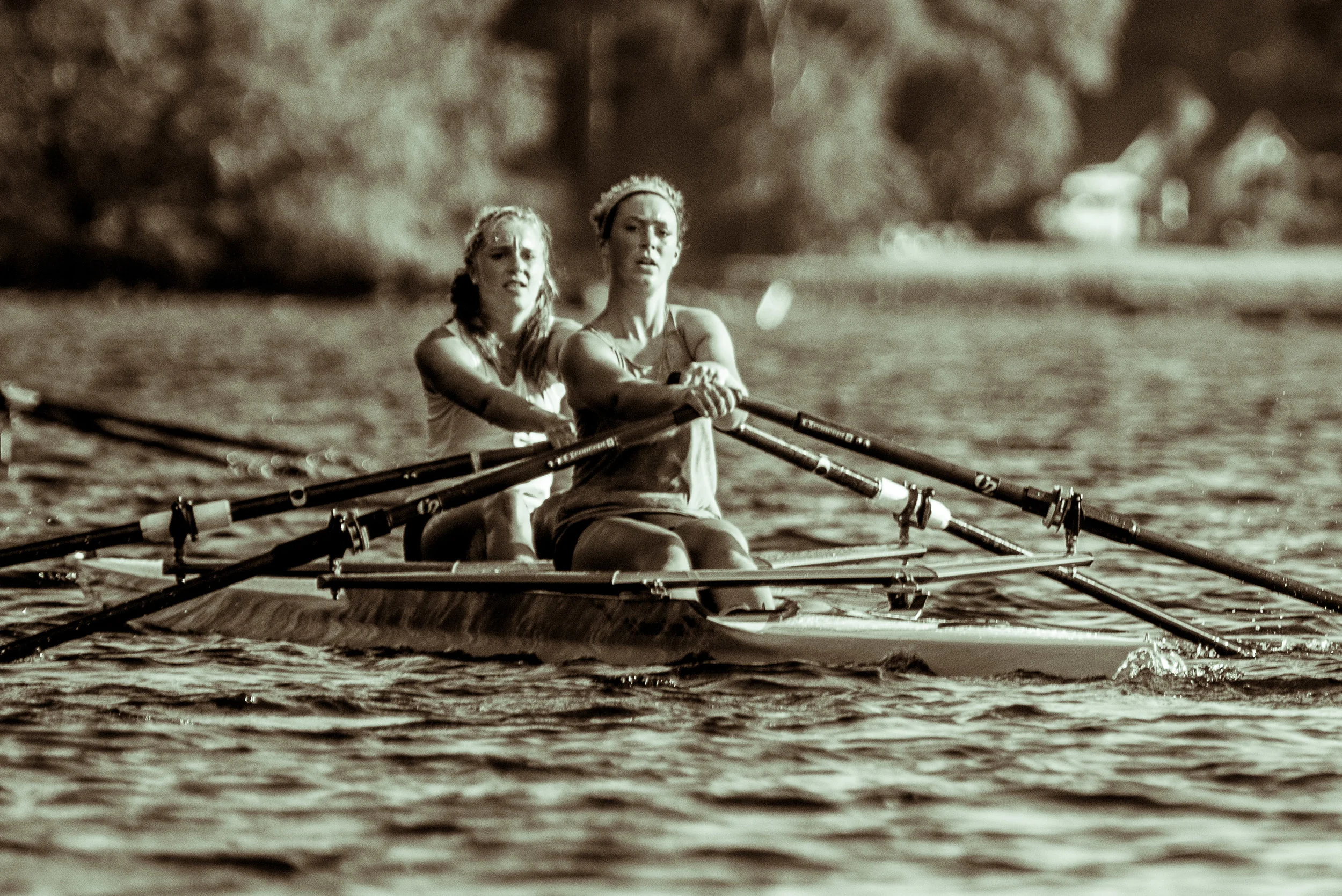 copyright Amy Wilton 0037.jpg