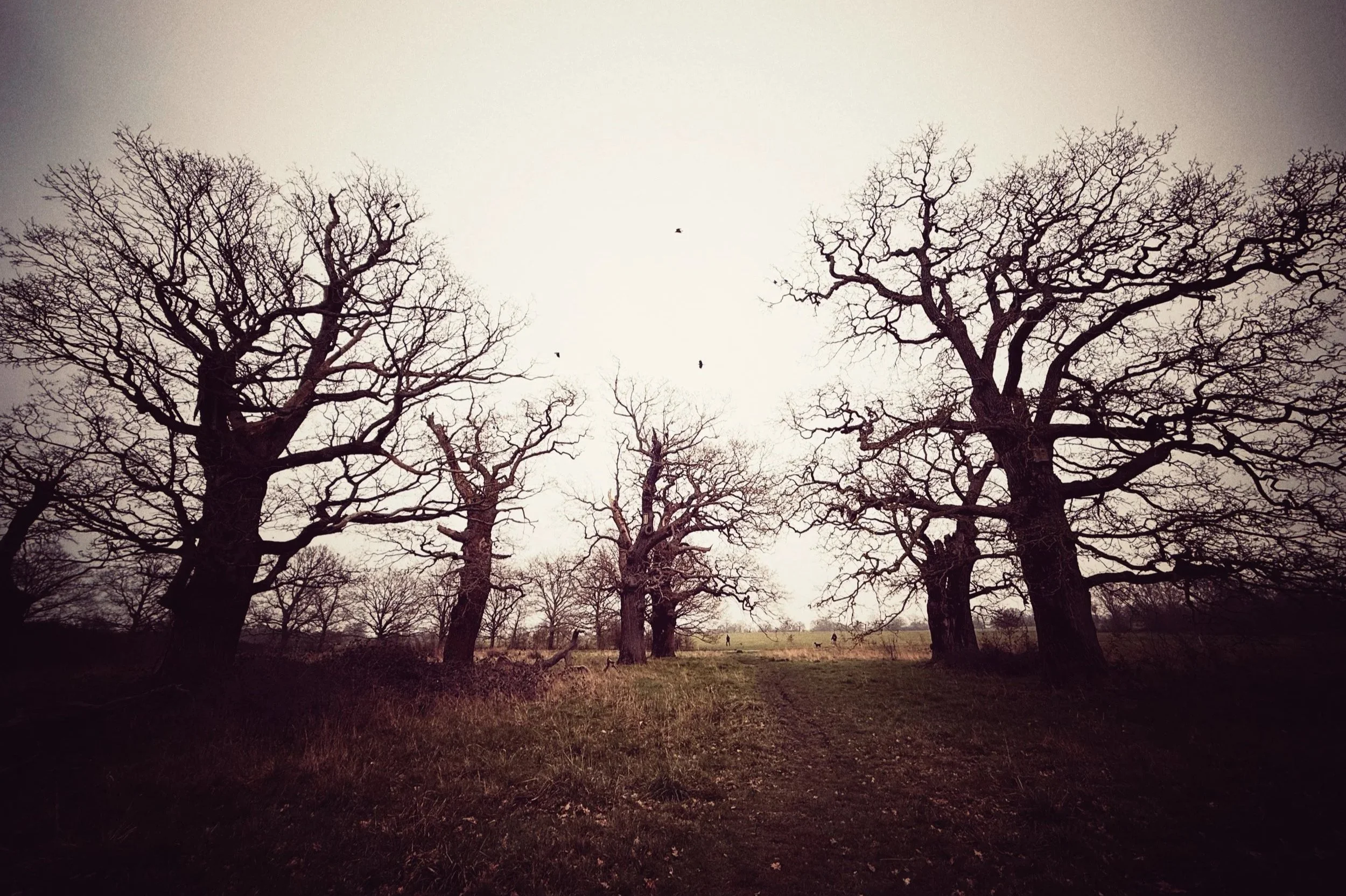 My Recipe for Getting Started on a Magnificent Creative Project