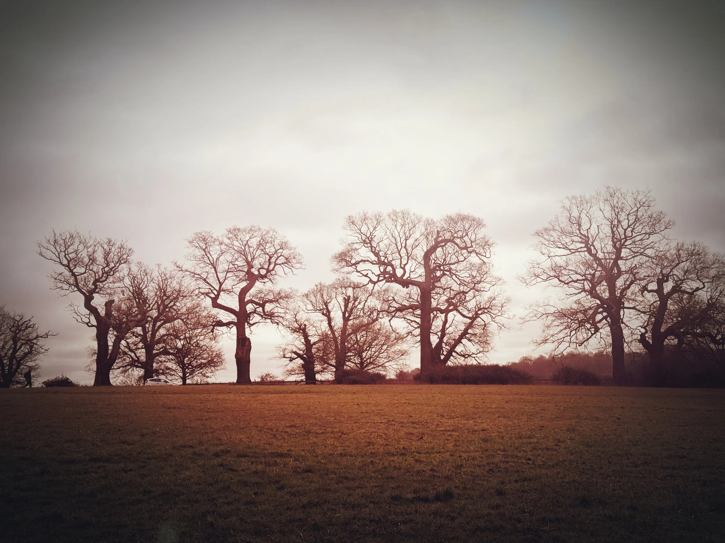 PicTapGo-2026-02-21-133259.jpeg