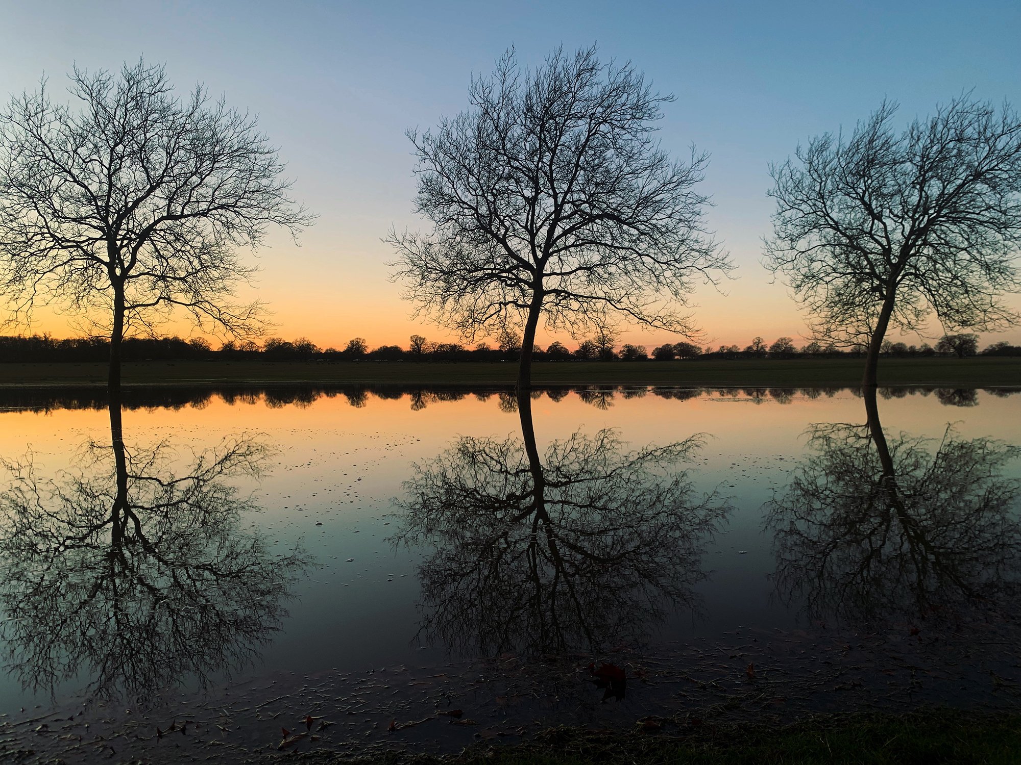 Walking Within Awe Walks.jpg