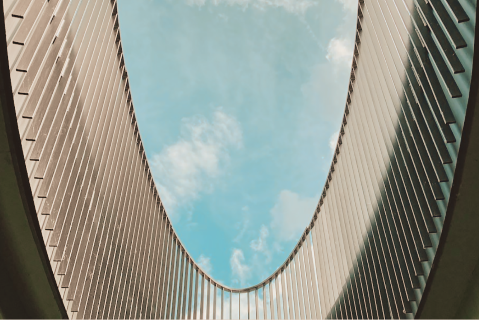 Copy of Copy of Copy of Untitled Design (1) copy.png