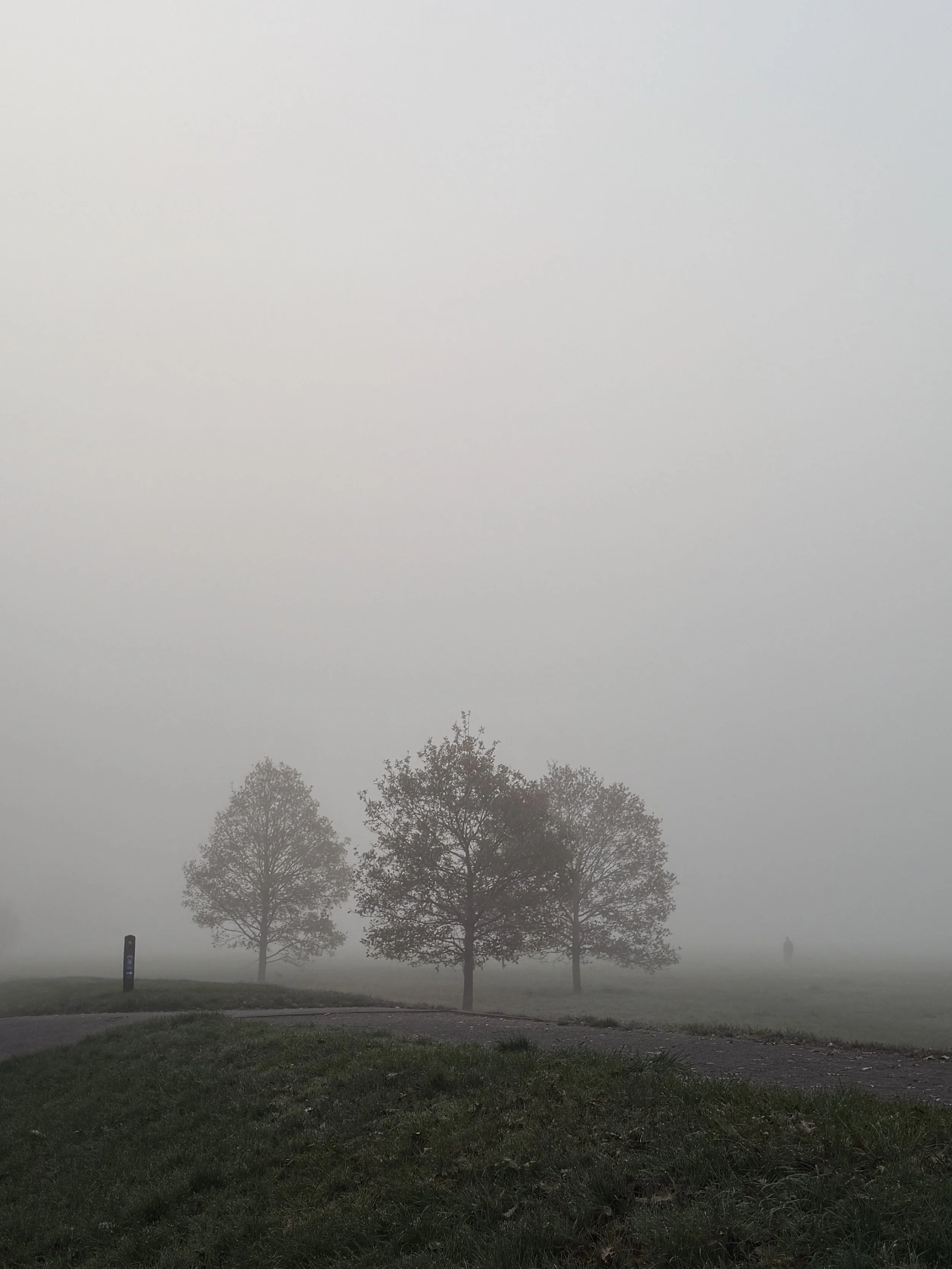 Why Sharing Your Voice Feels So Hard (and What to Do About It) 