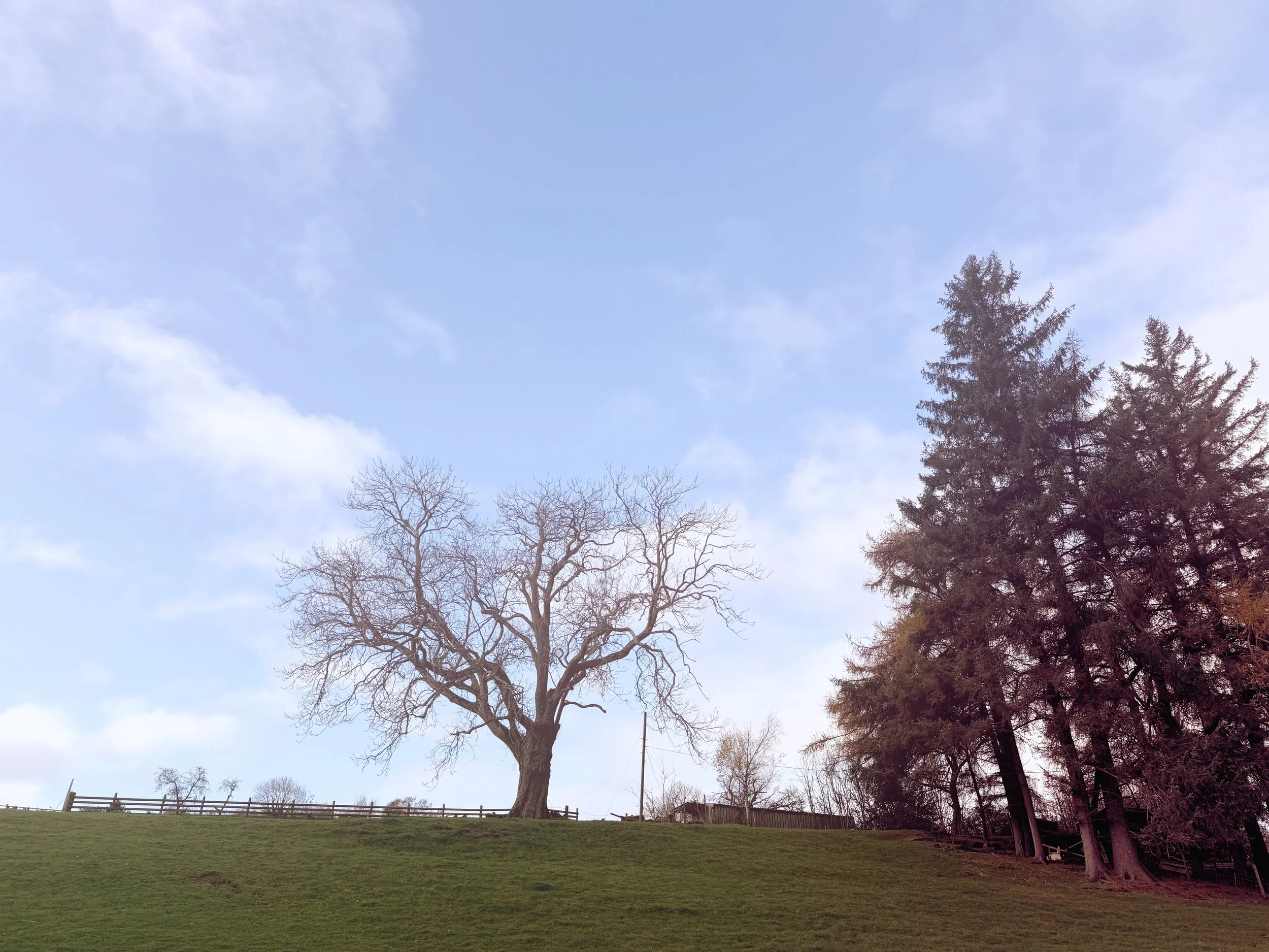 How Procrastination Becomes an Identity — and How to Pivot the Game