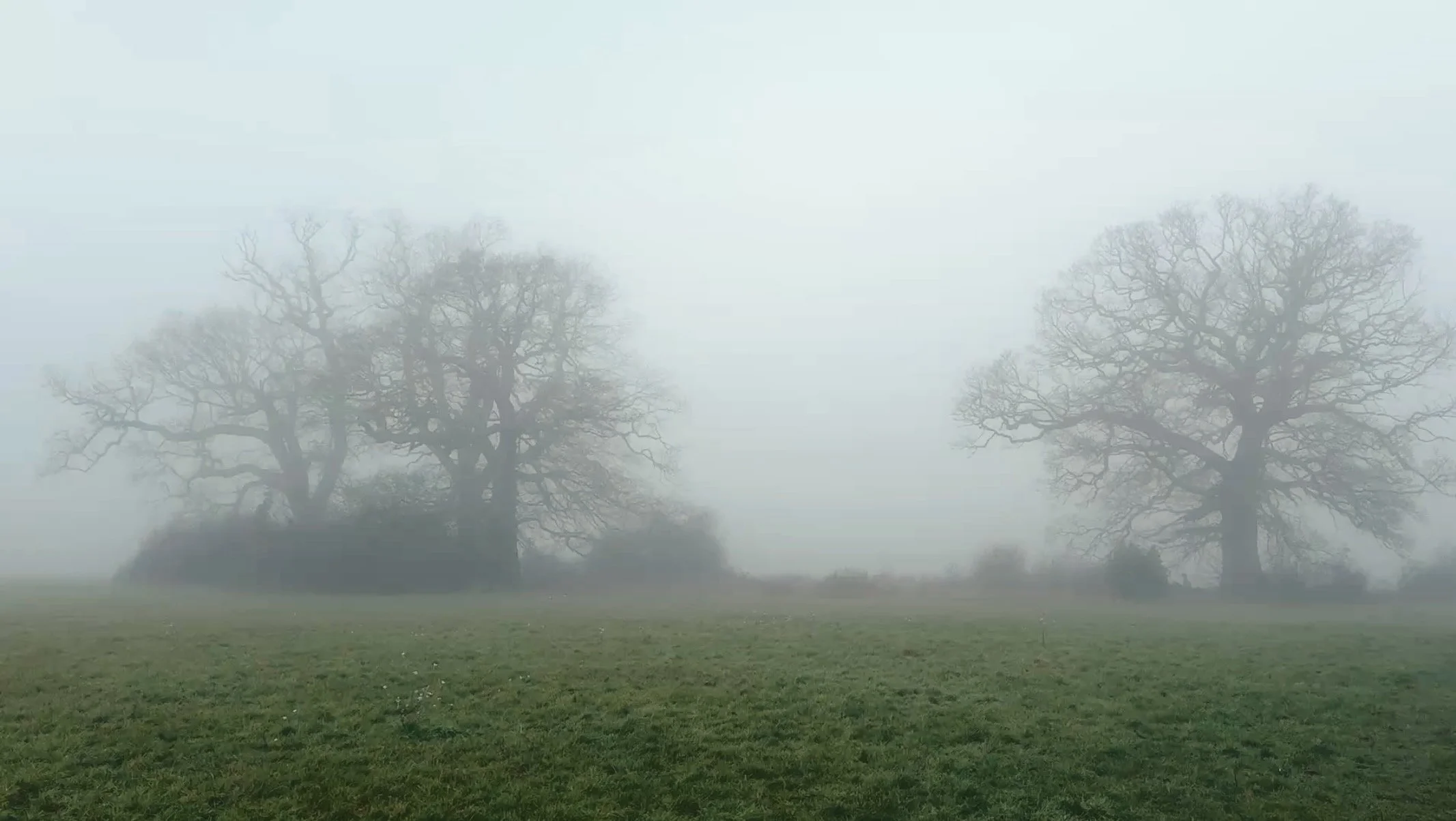 The How Are You Distinction Story 