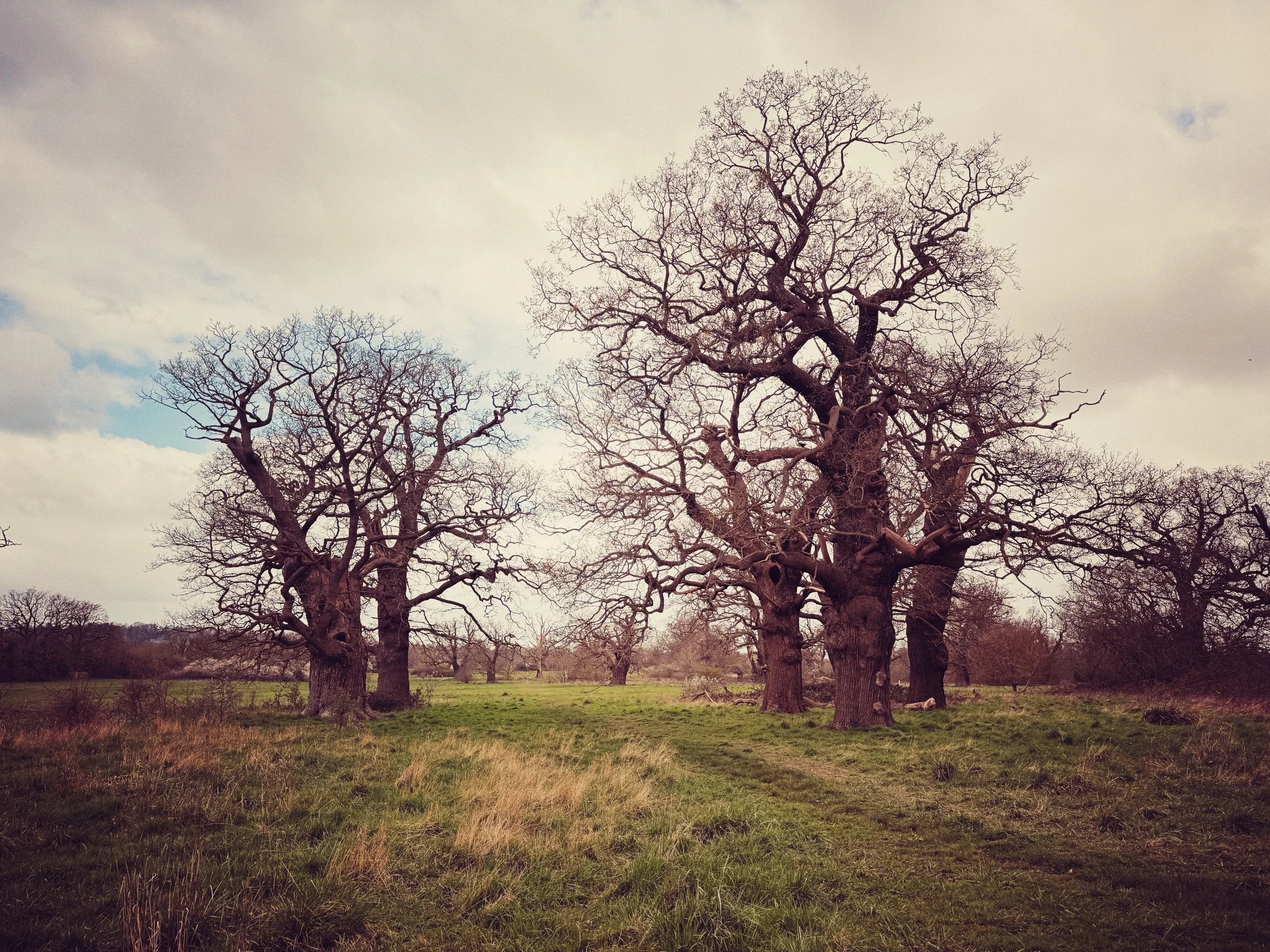 Cultivating the Belief of There is Enough