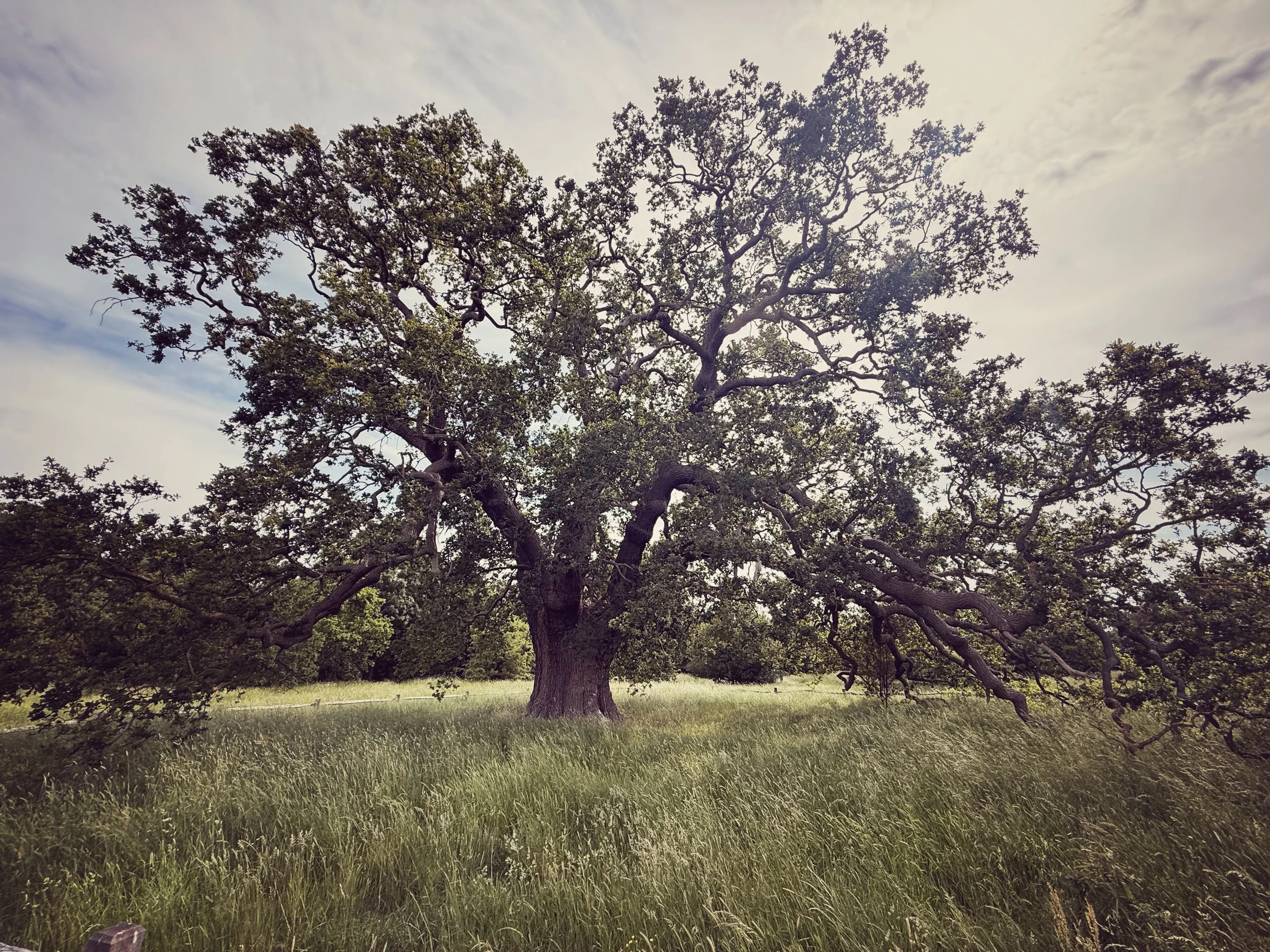 IMG_0063.jpeg