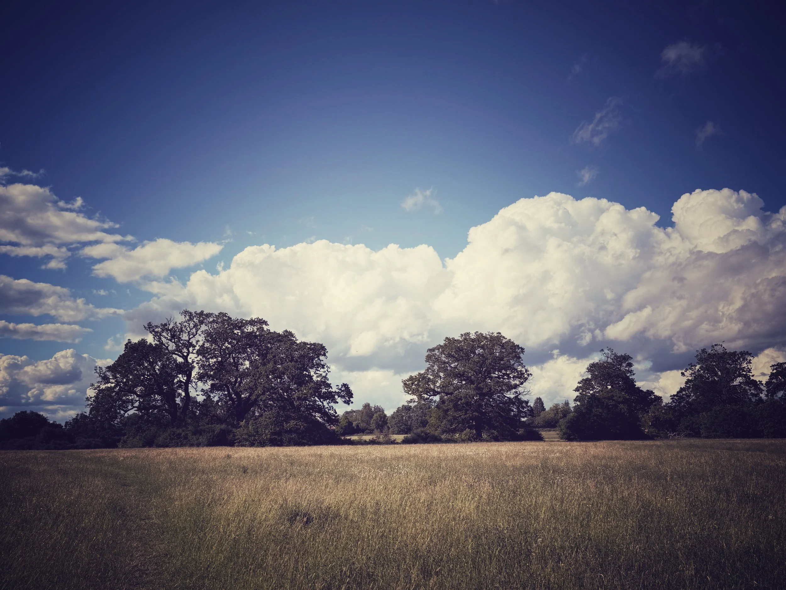 IMG_0201.jpeg
