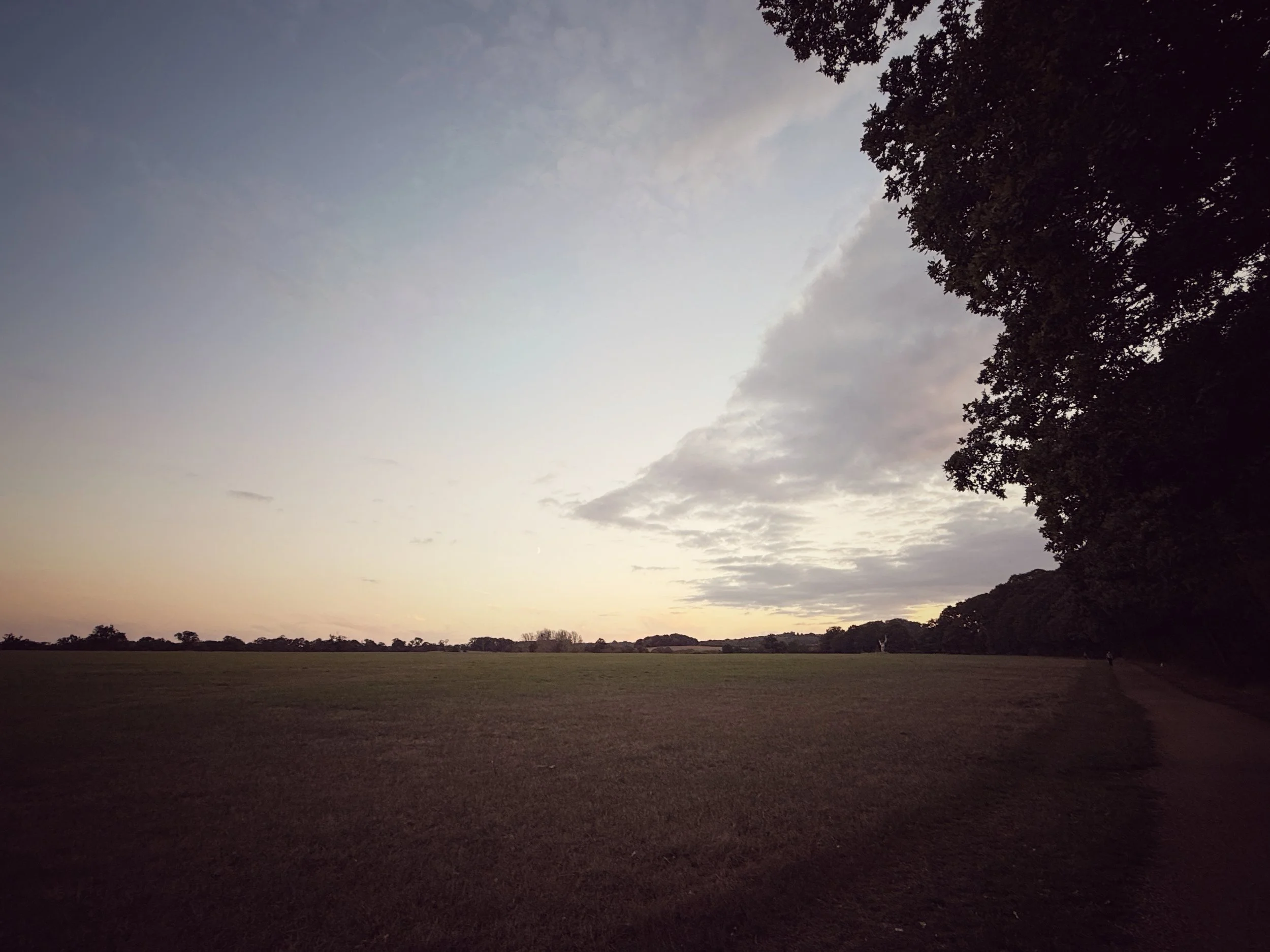 IMG_1985.jpeg