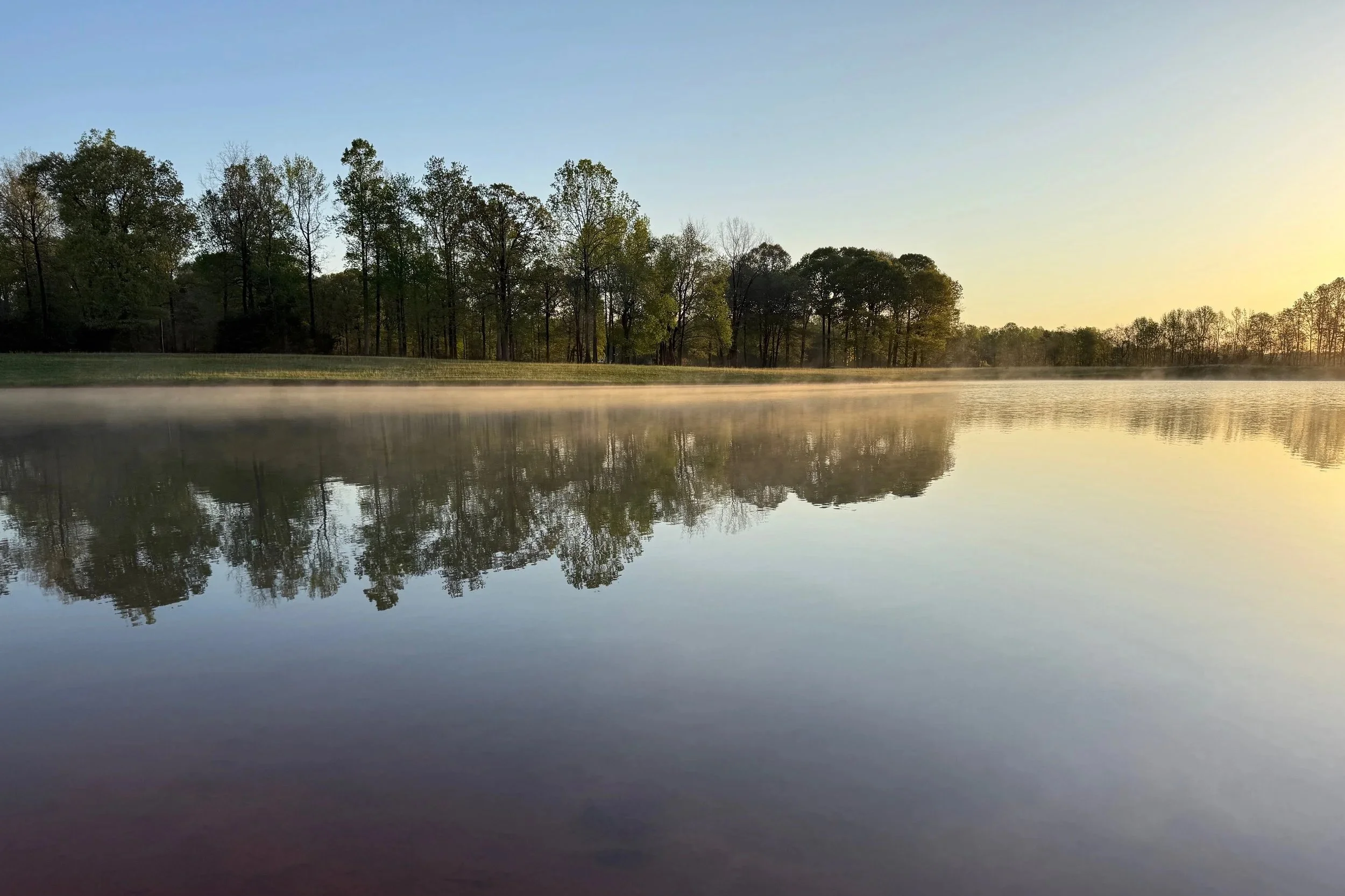 Beaver Dams, Tadpoles and Stress