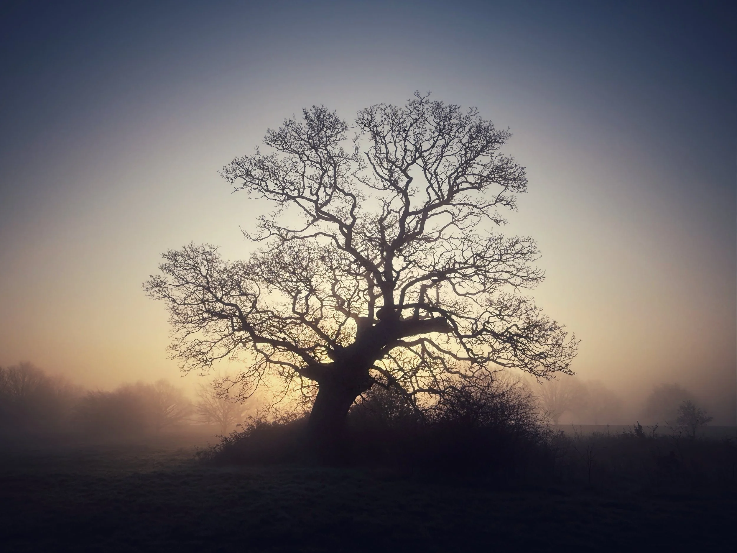 COME WITH ME TO WINDSOR