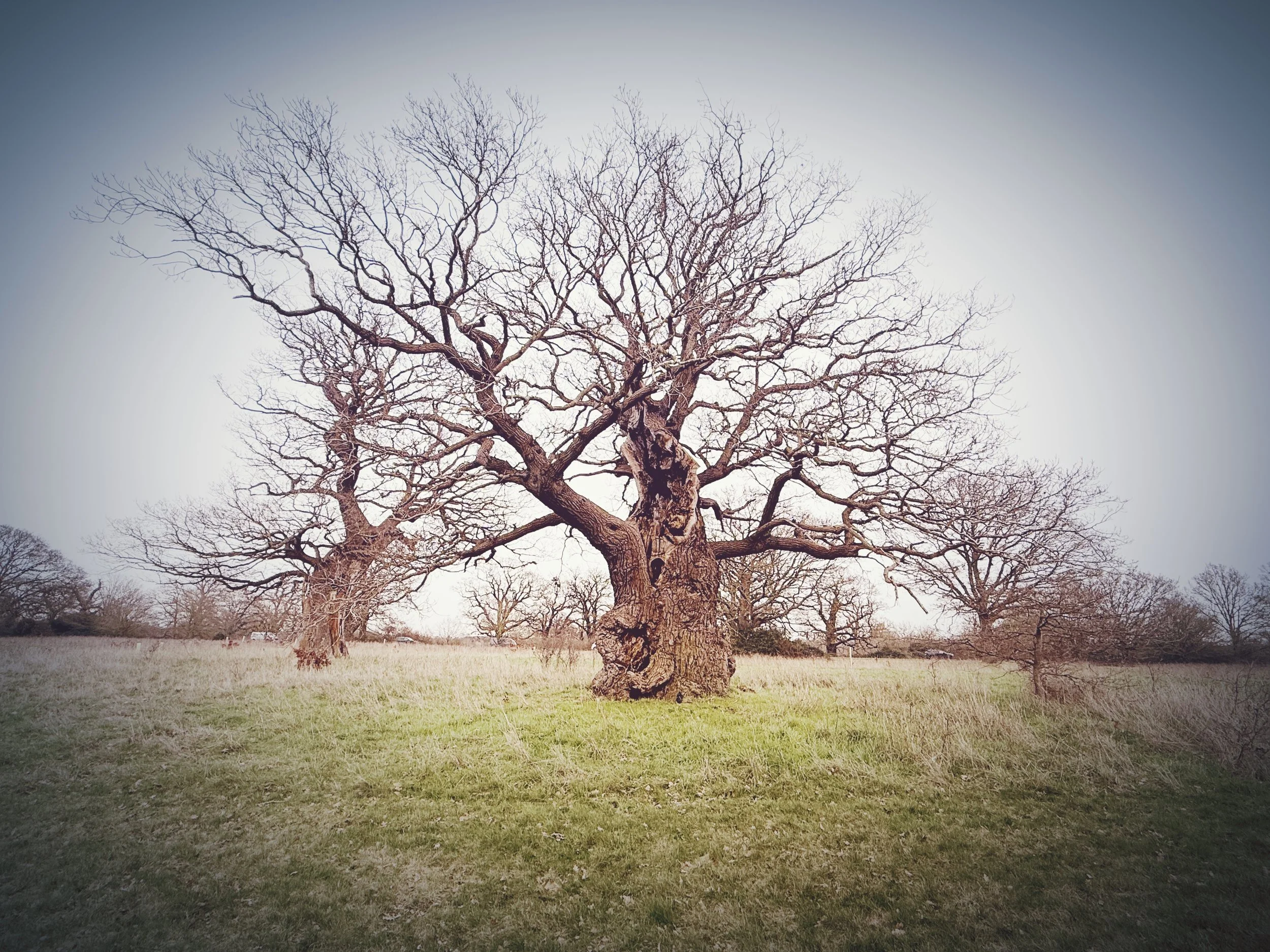 One Absolutely Ridiculous Belief We Tolerate Everyday