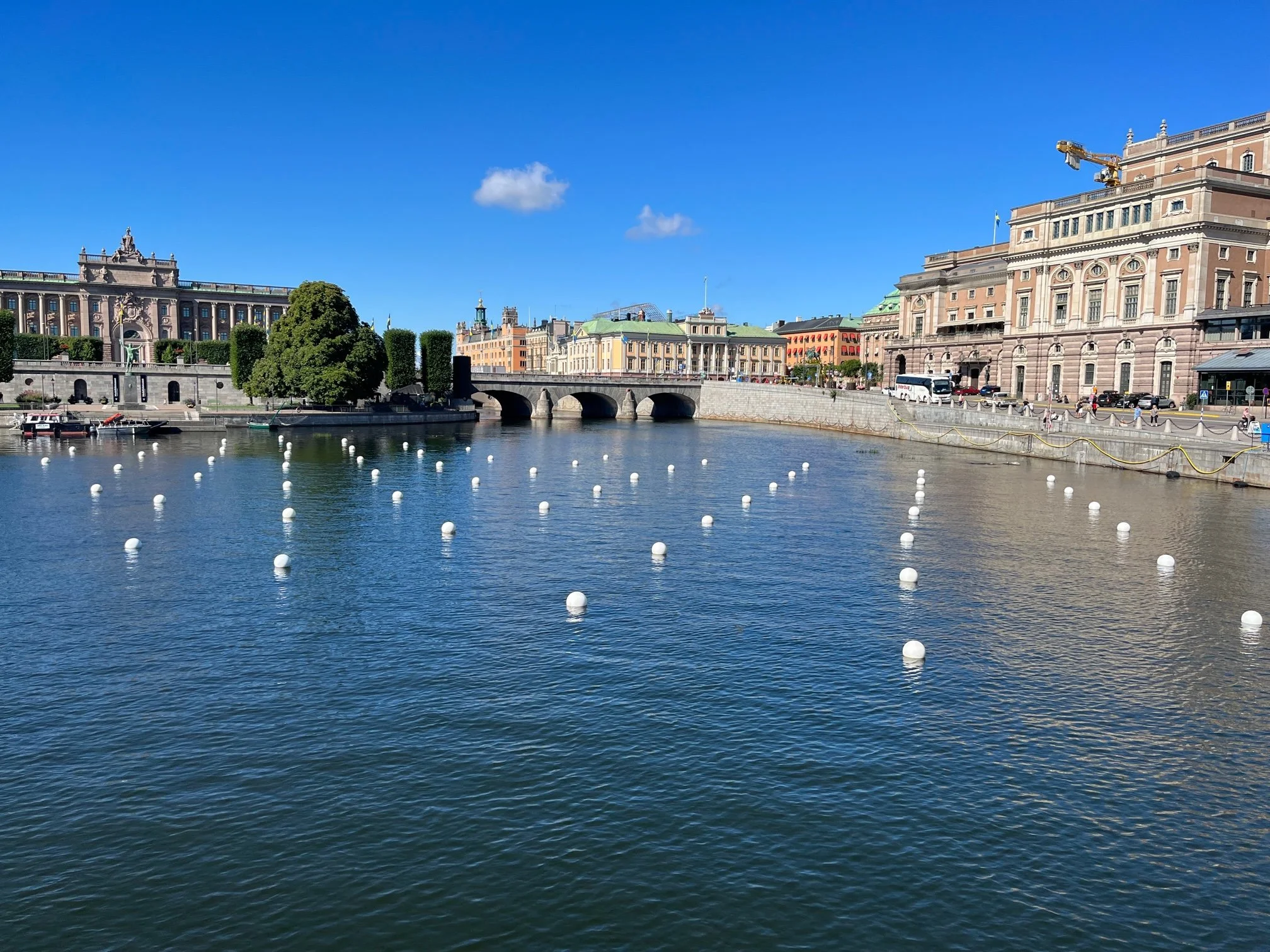 IMG_8979.jpg