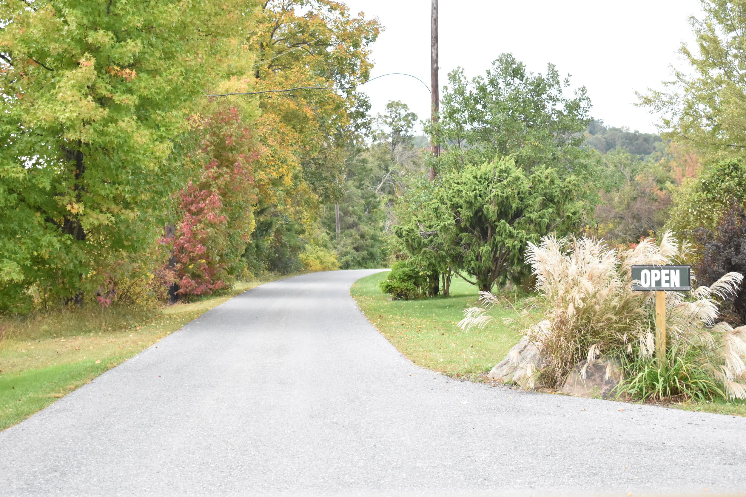 Fall is Here!