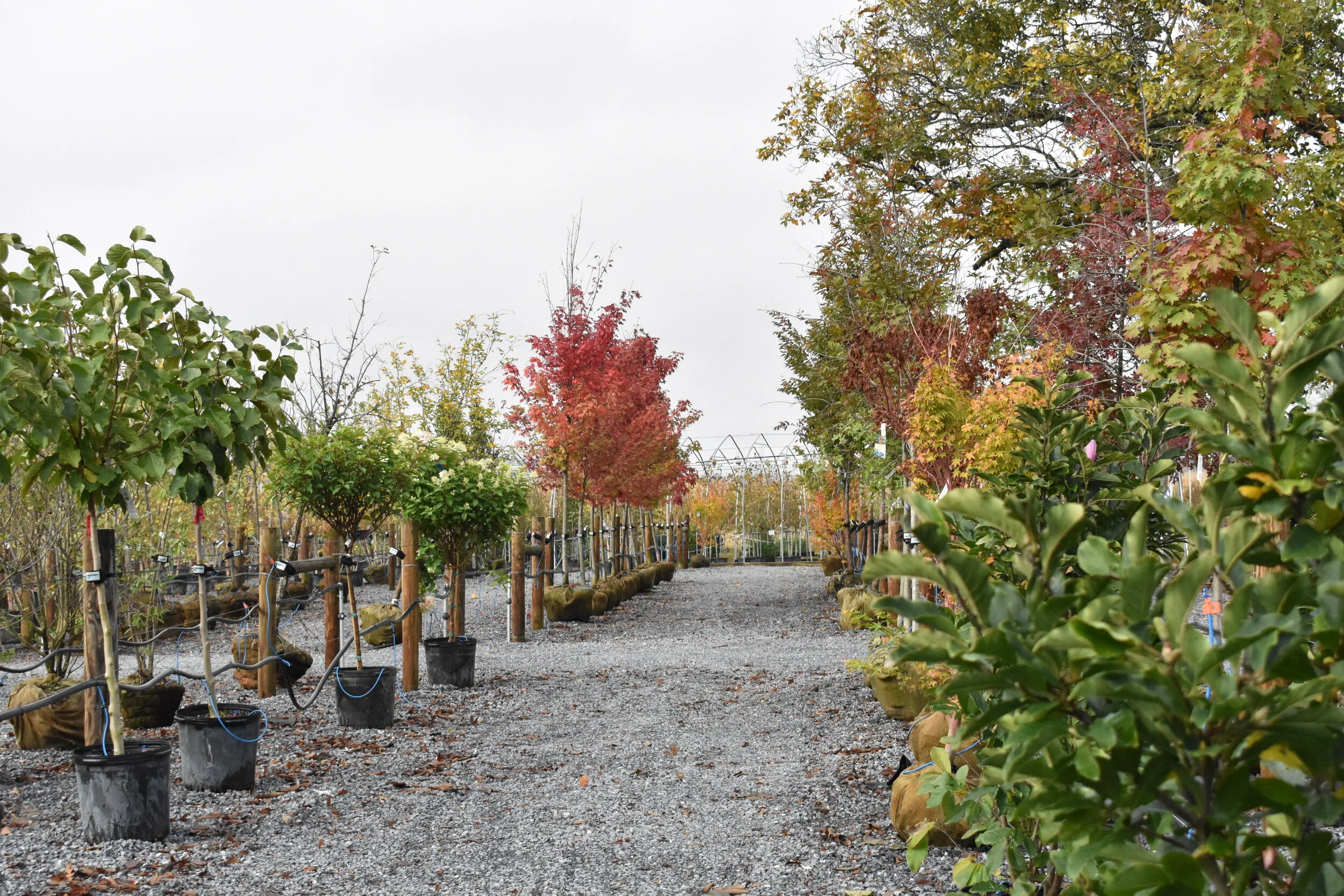 PLEASE RETURN OUR CRATES!