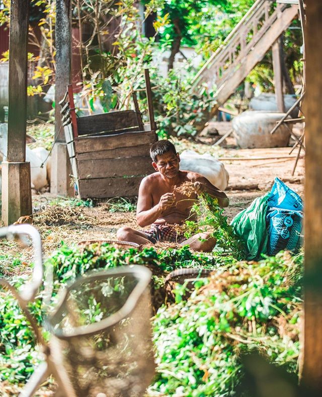 Appreciating the process behind a peanut! #cambodia #peanuts