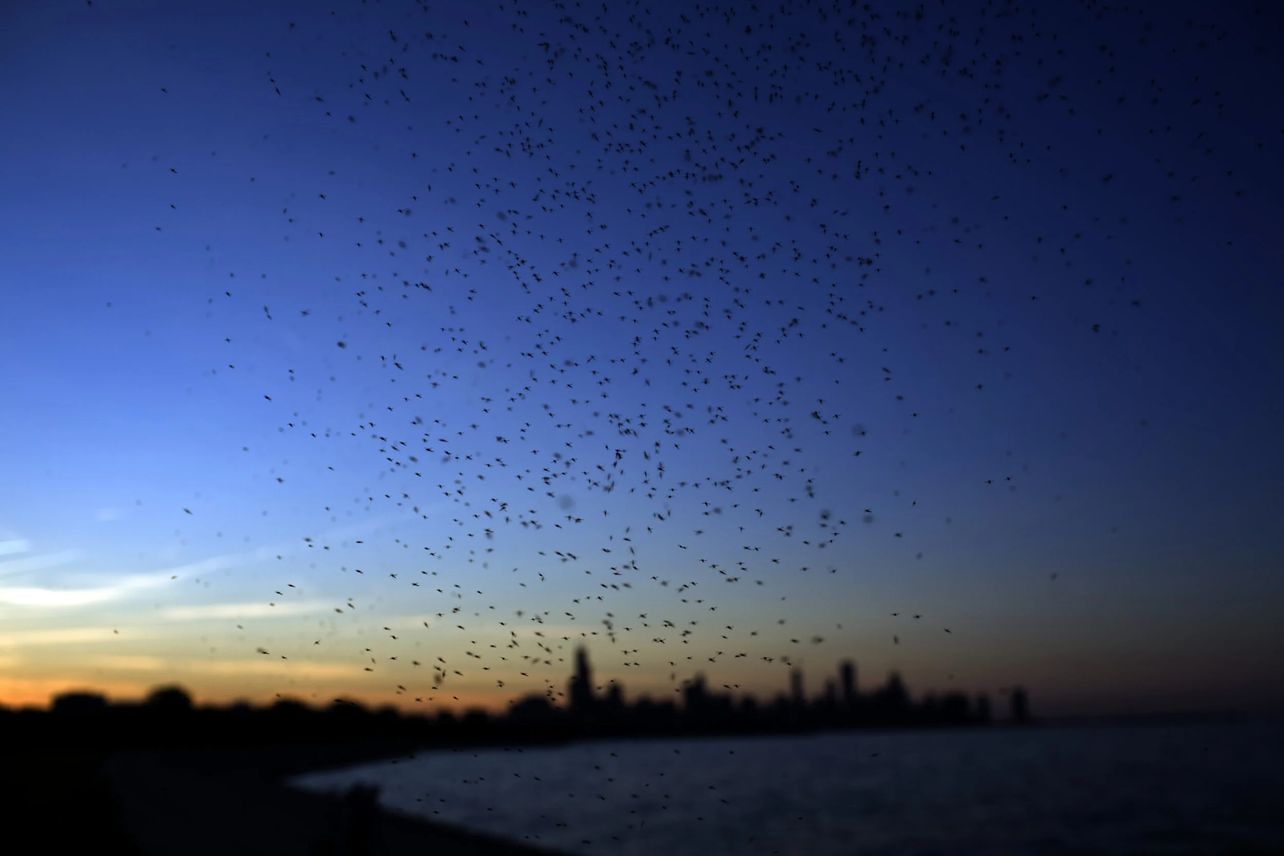 © Jon Lowenstein / NOOR