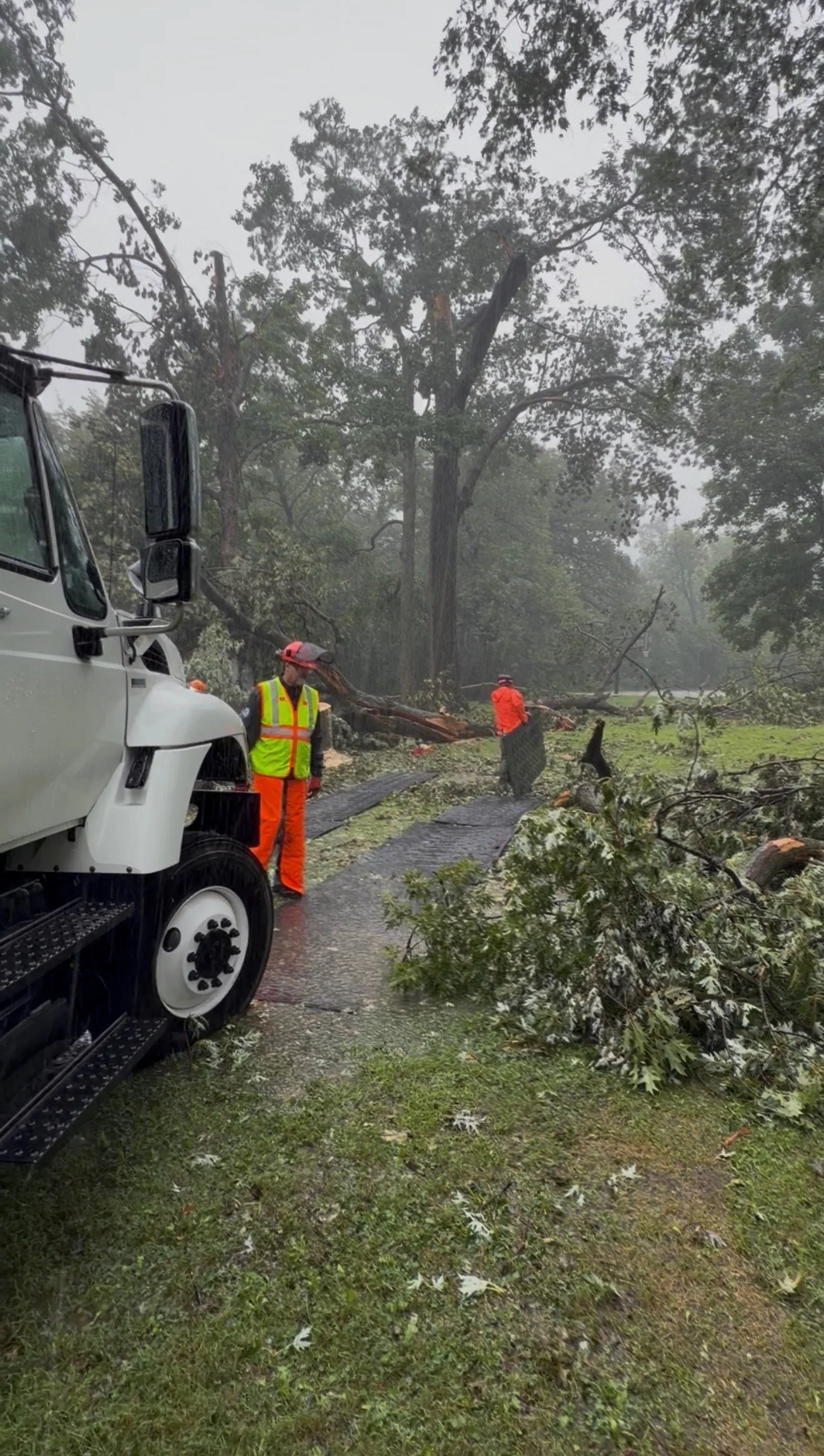 IMG_0878.JPEG