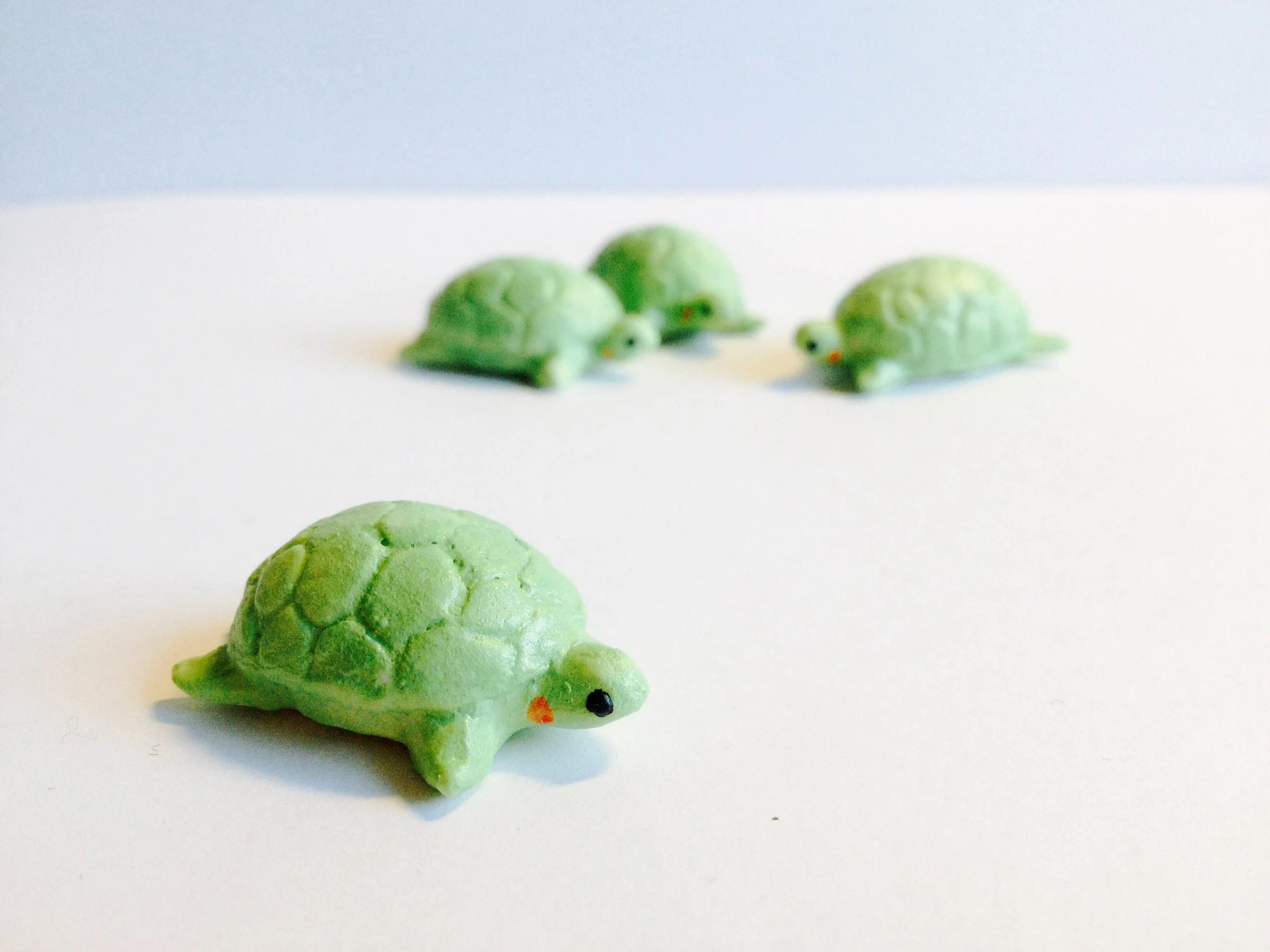 Small turtle