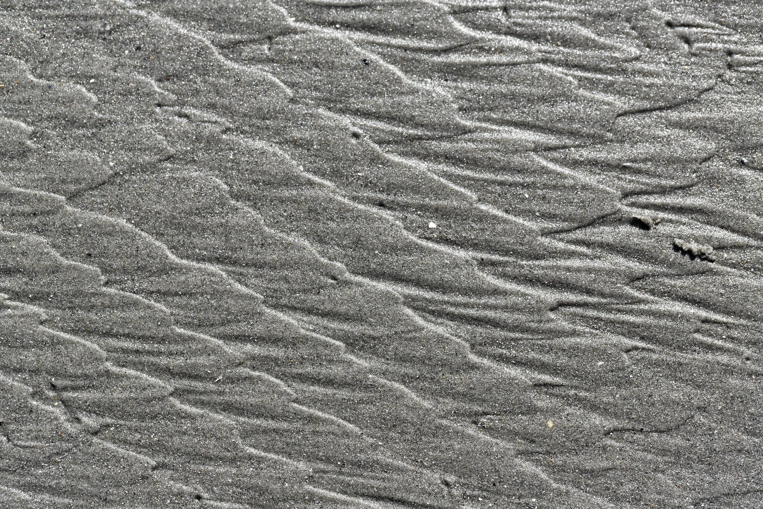 JEN_Ocean Forms_web--2.jpg