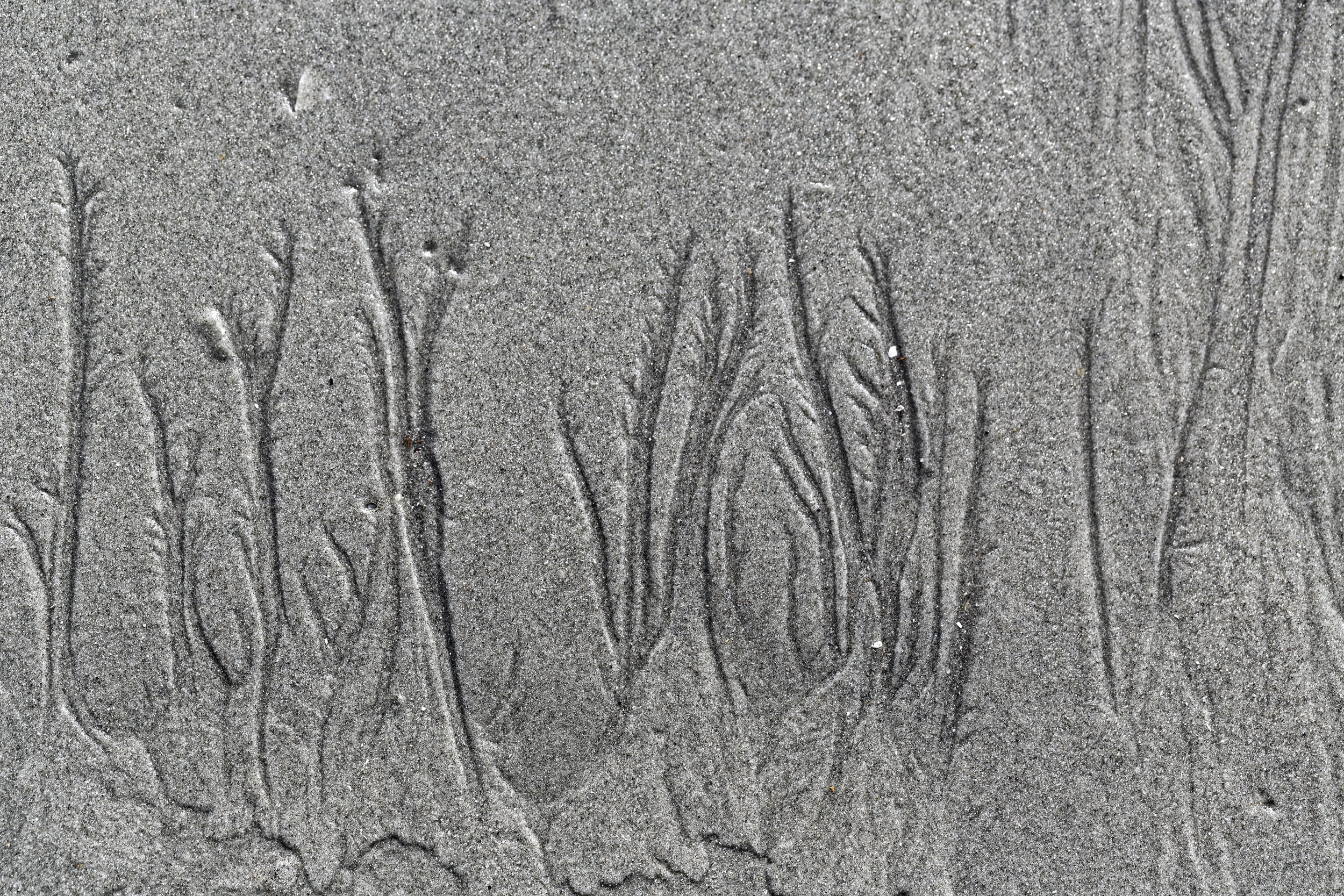 James Norton : Ocean Forms 3