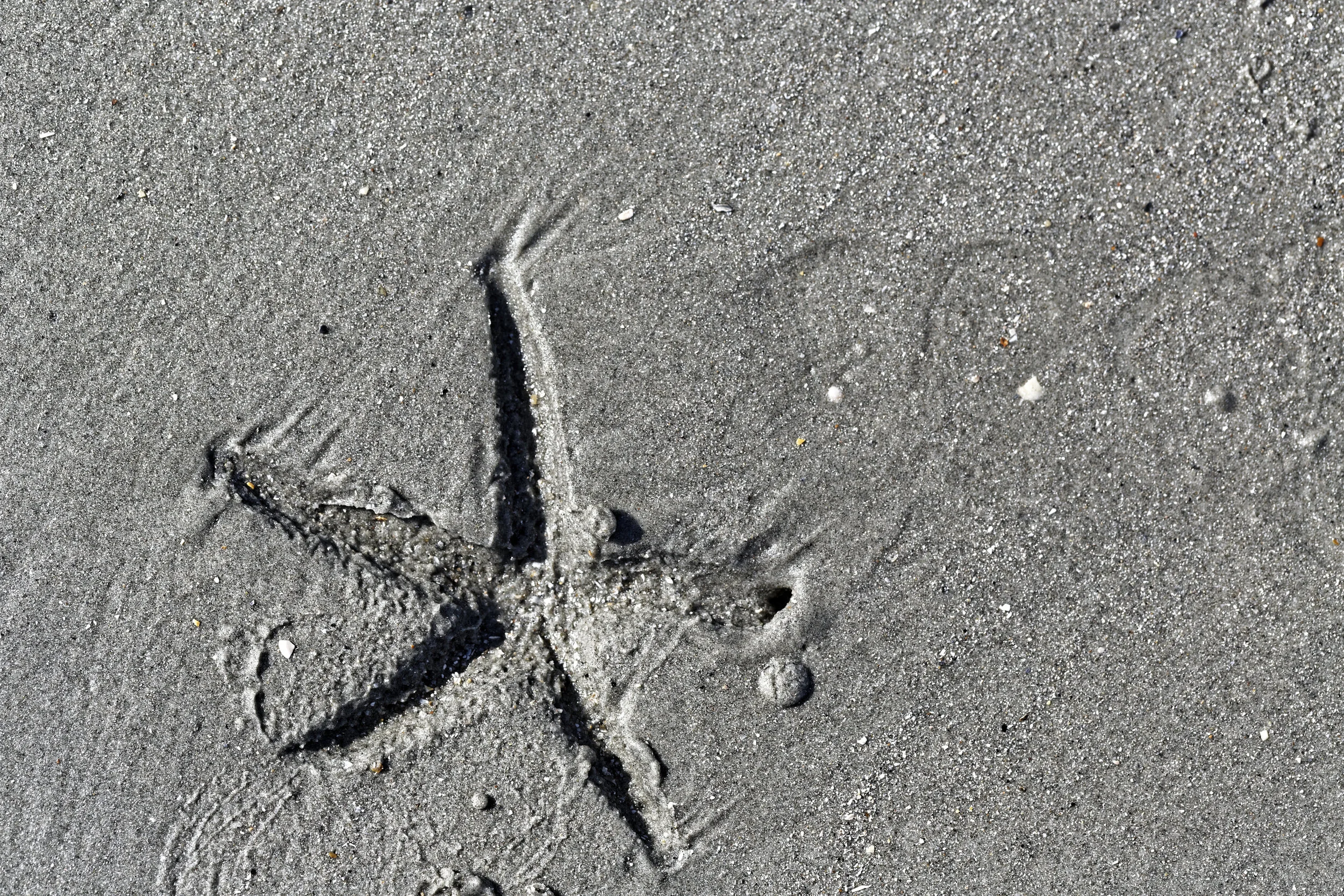 JEN_Ocean Forms_web--6.jpg