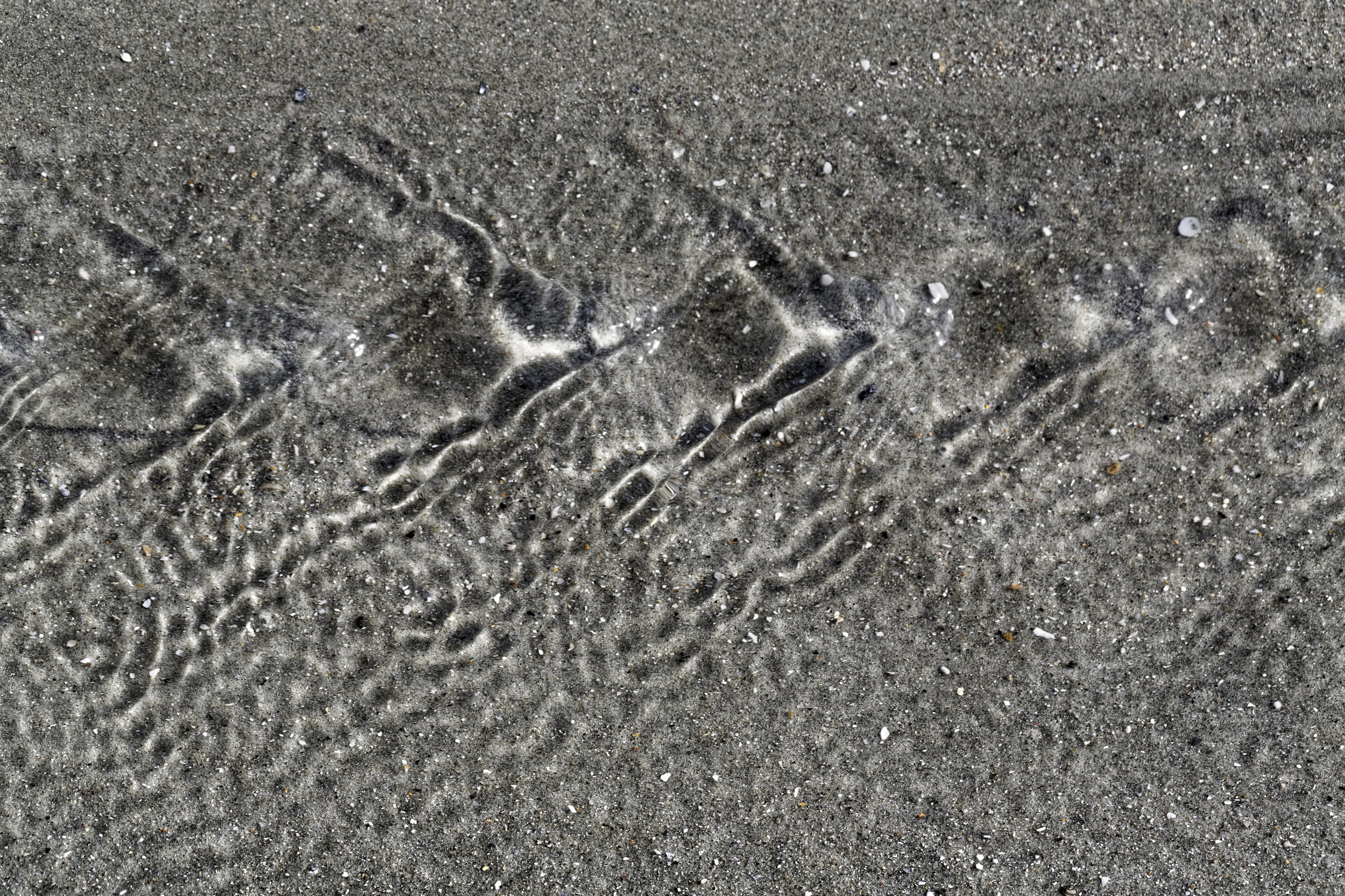 James Norton : Ocean Forms 1