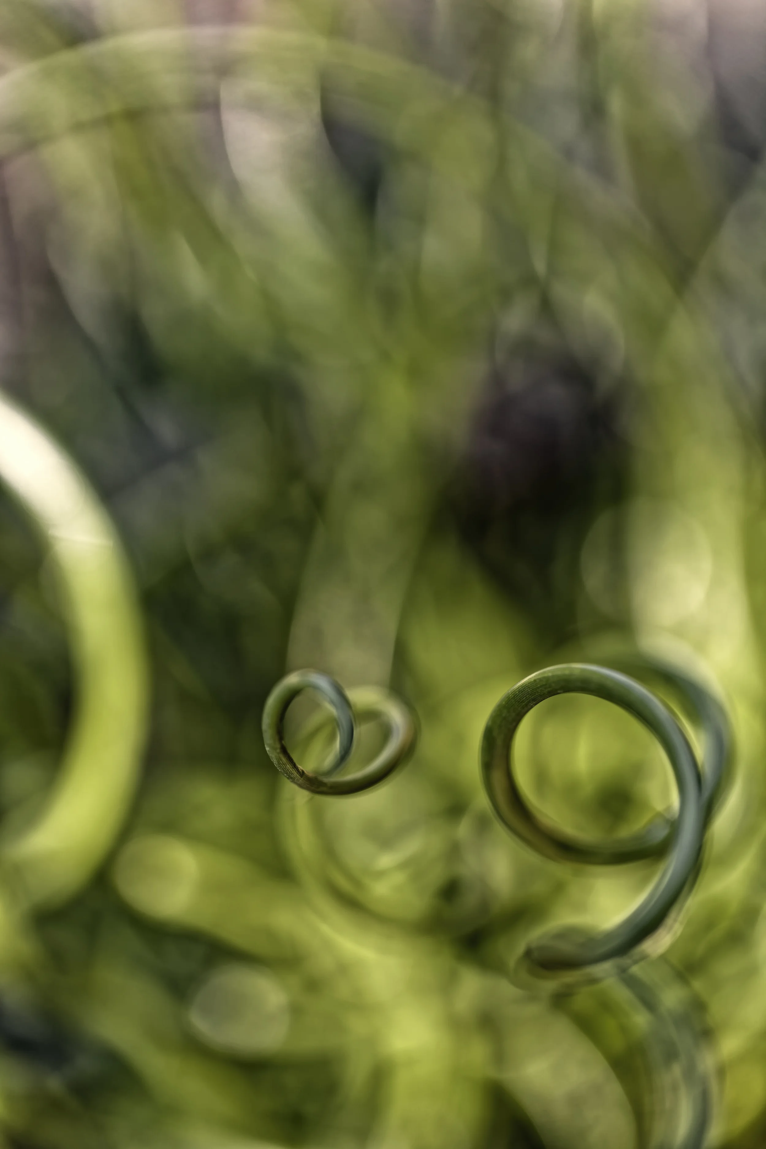 JEN_Floral Study 1_web-3.jpg