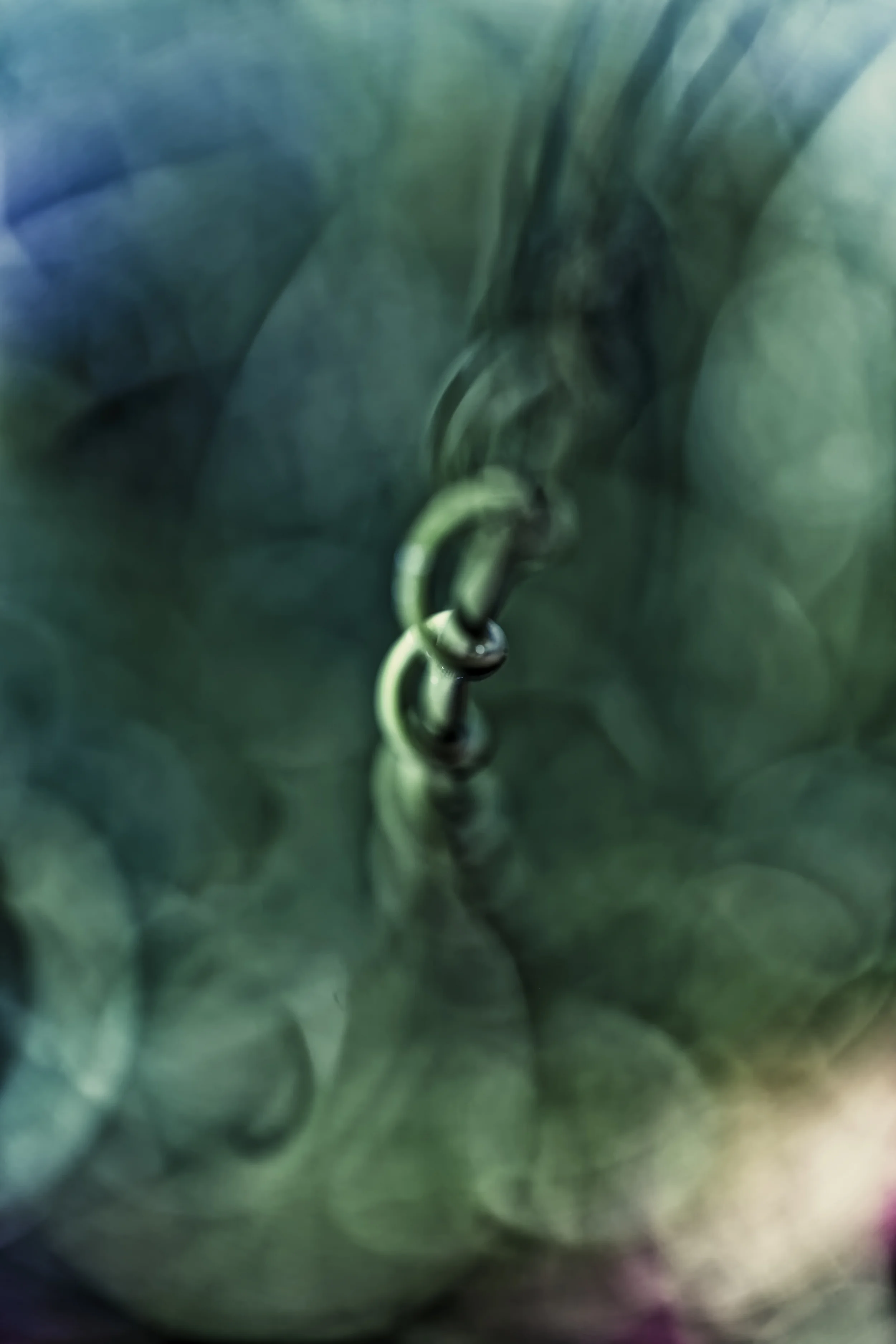 JEN_Floral Study 1_web-6.jpg